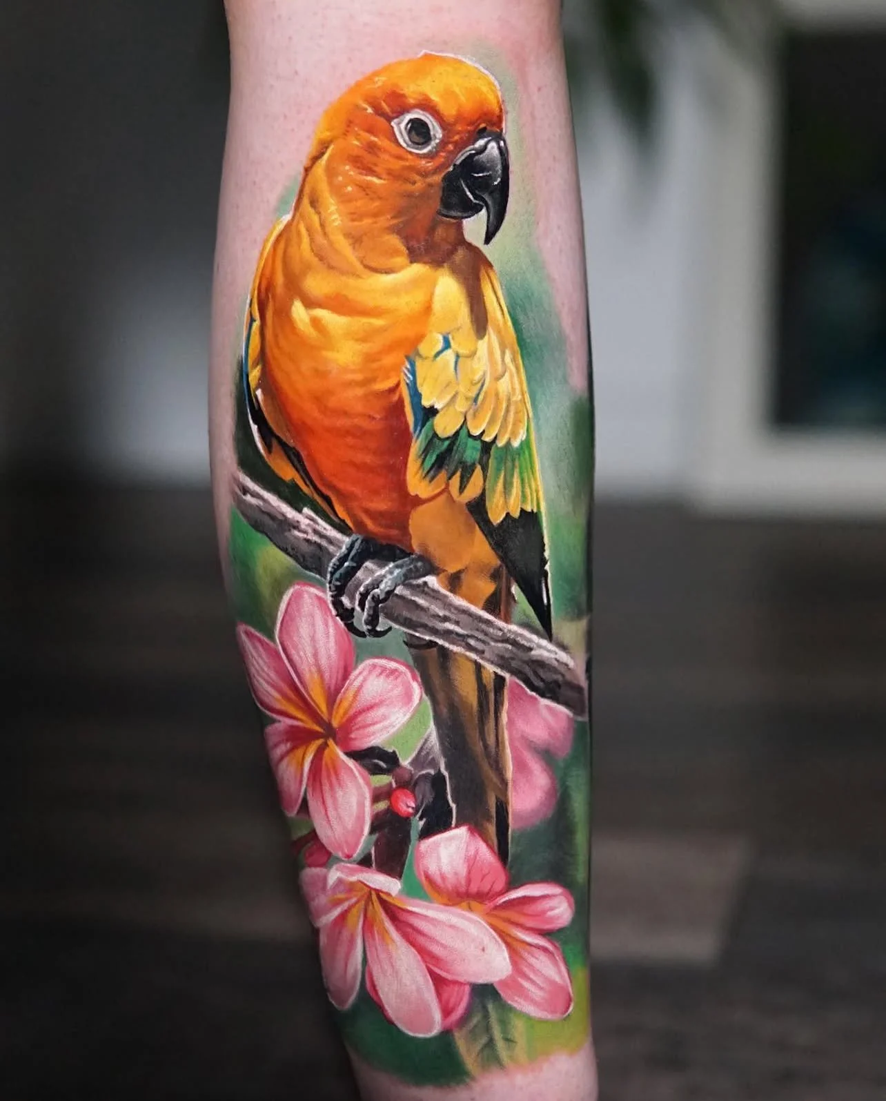 Jordan Croke bird tattoo animal realism, wildlife realistic colour tattoos