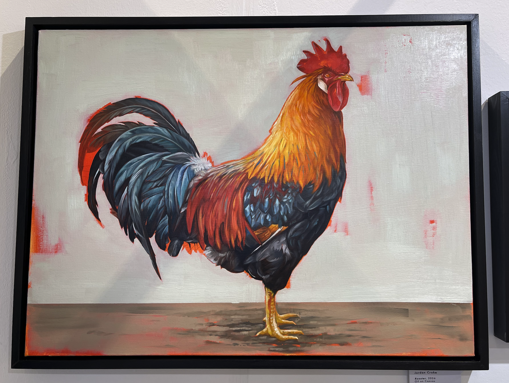 Rooster
