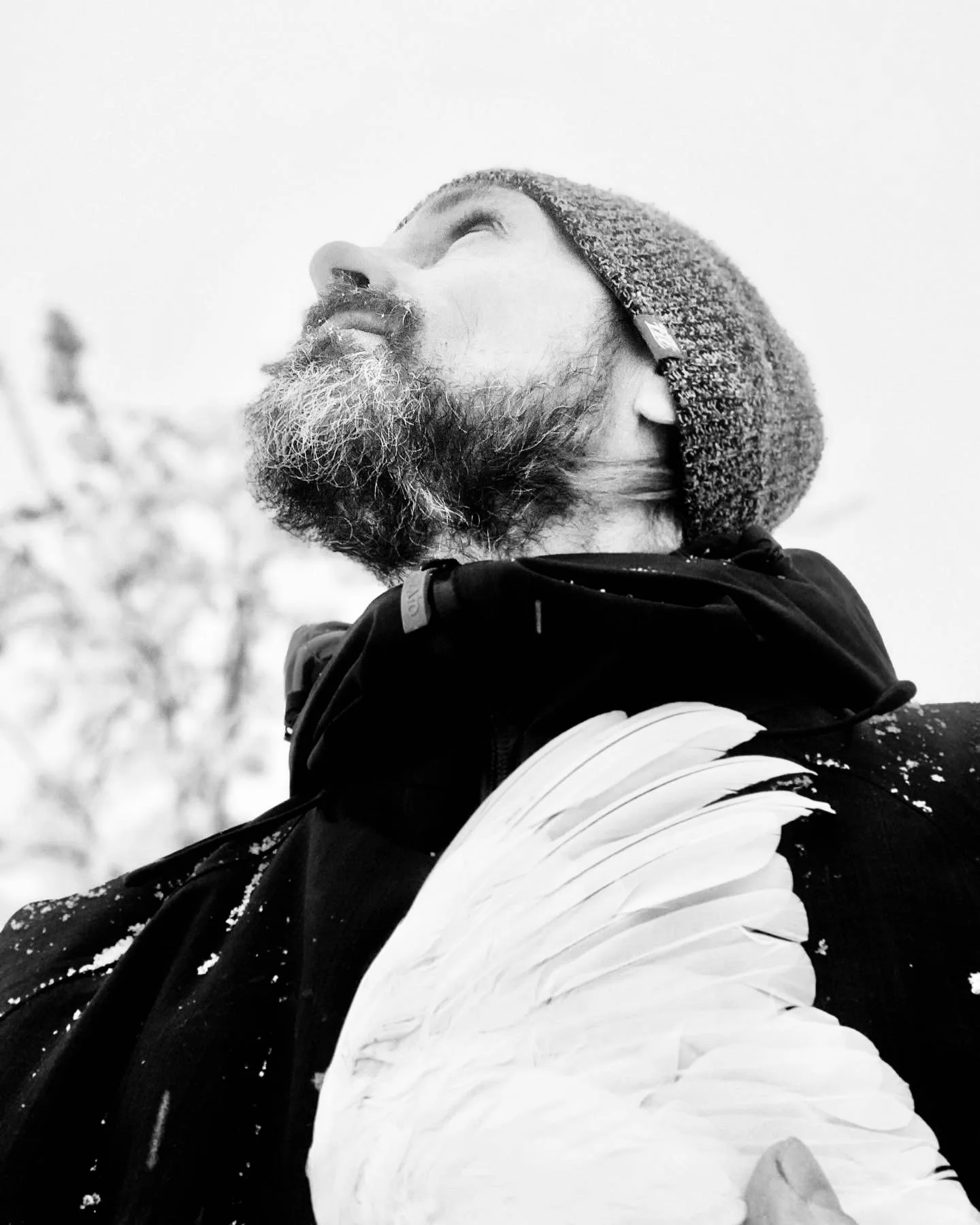 SAANA   OSA   III   ENTEITÄ