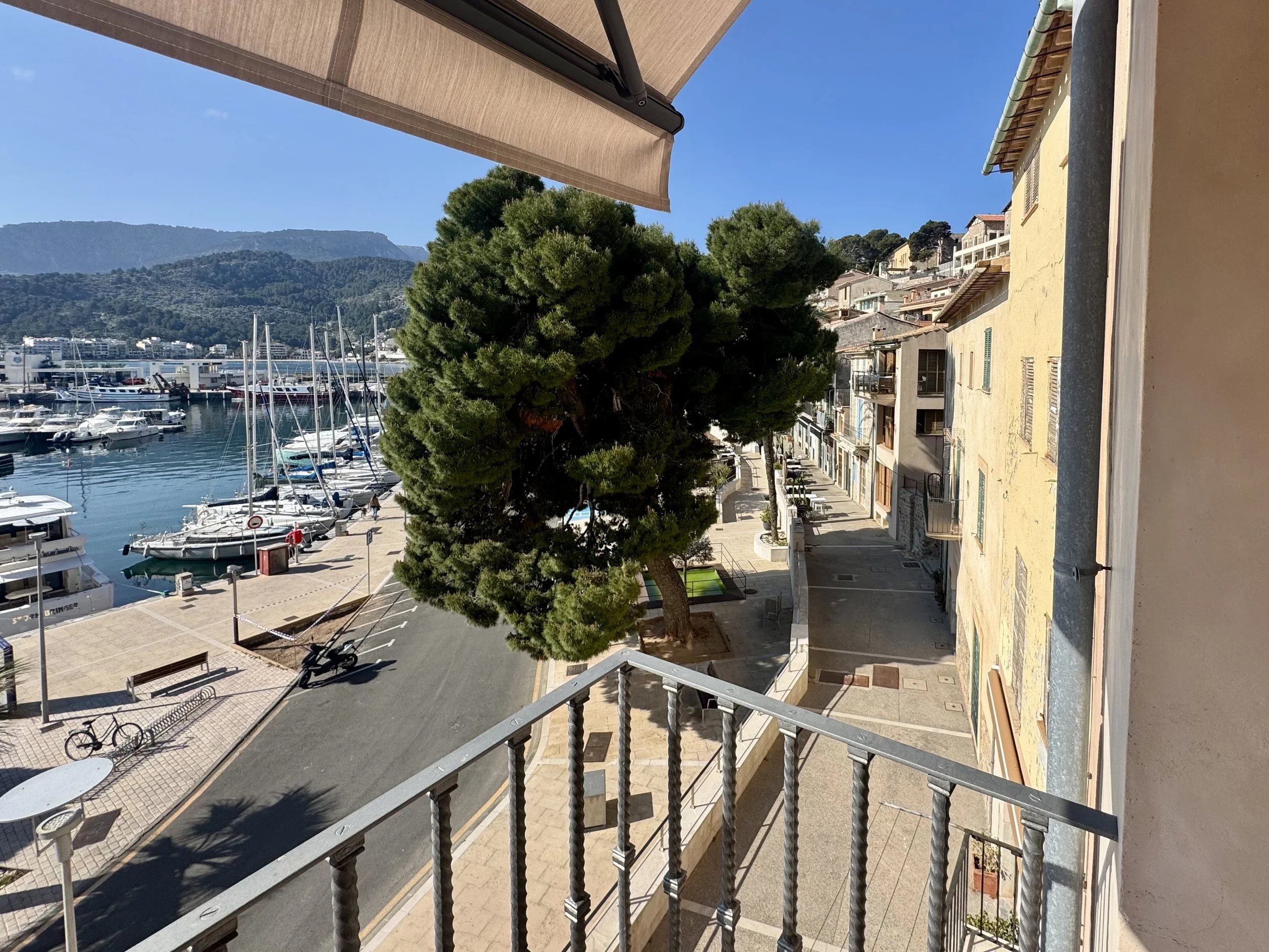 IMG_4339.jpeg