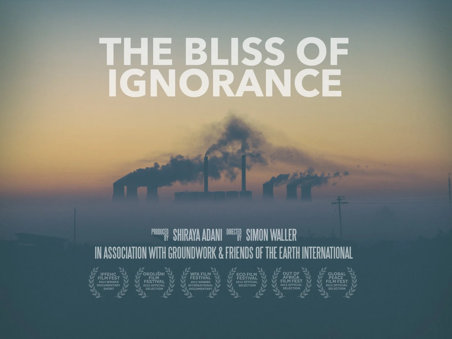 The Bliss of Ignorance