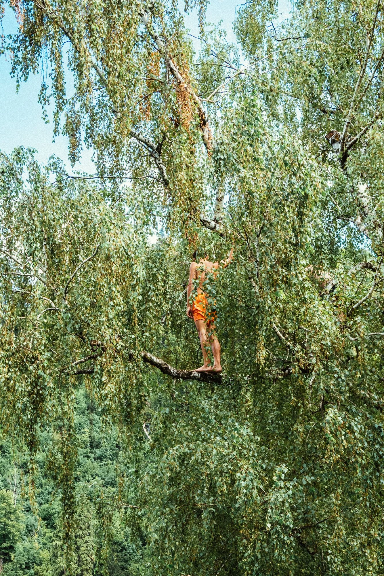 Figures-13.jpg