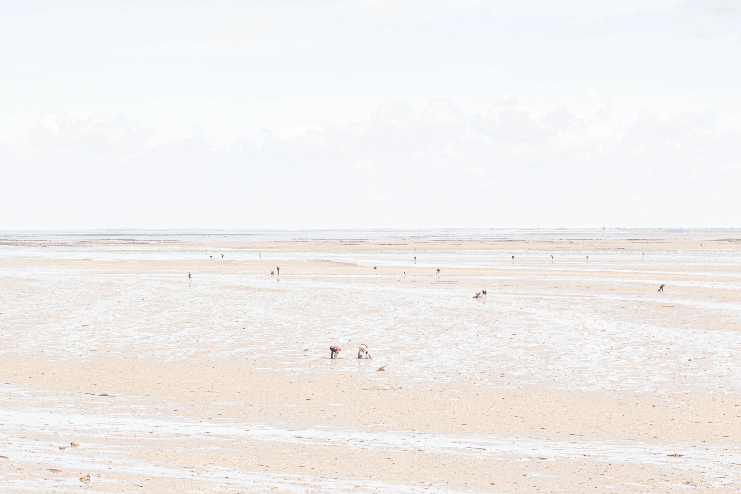 Noirmoutier-4.jpg
