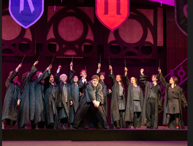 Harry Potter and the Cursed Child: High School Edition (2025)