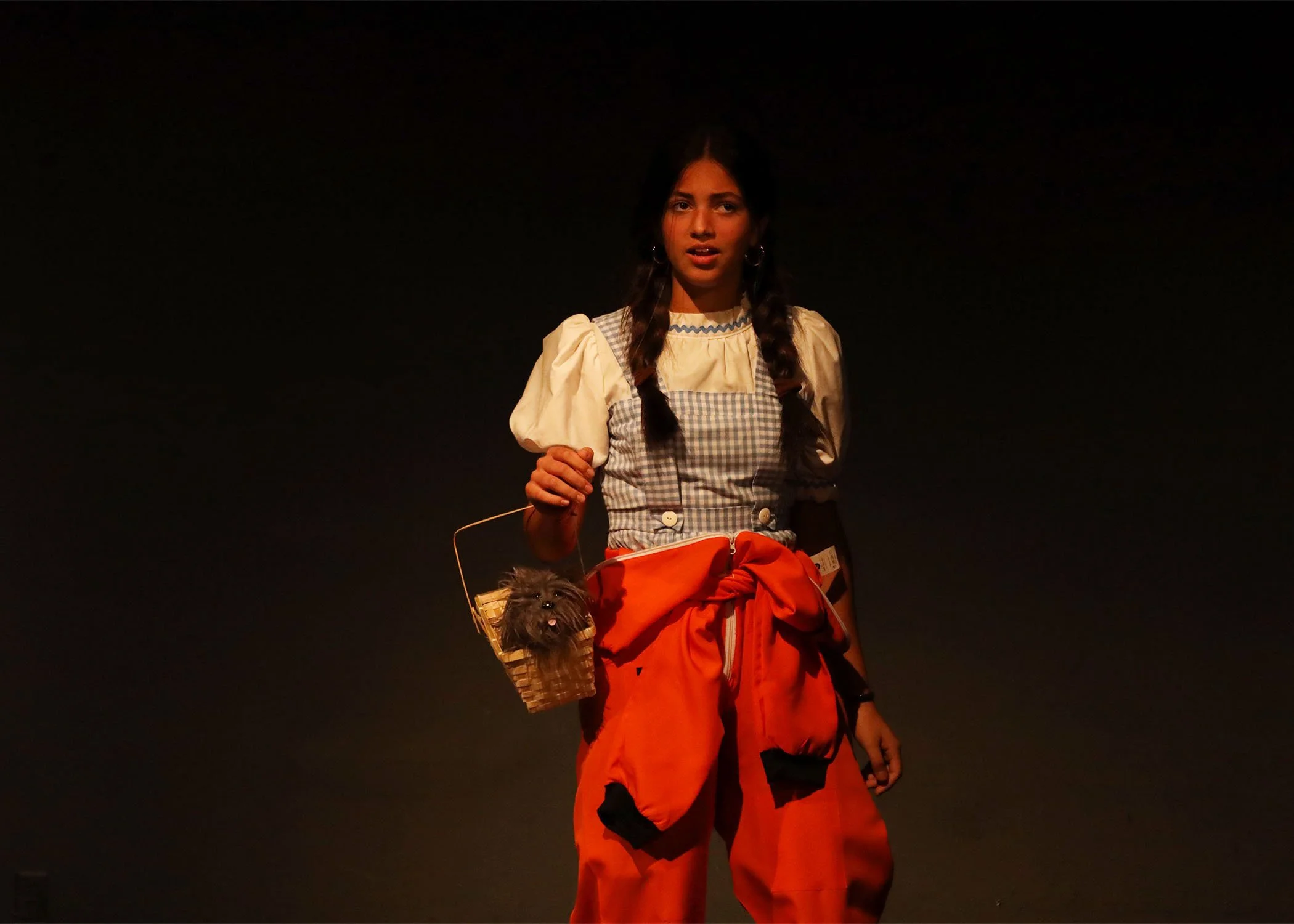 The Distracted Scholar's Guide To Literature And Drama (2026)