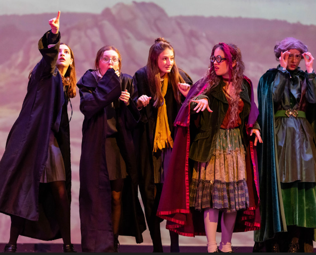 Harry Potter and the Cursed Child: High School Edition (2025)