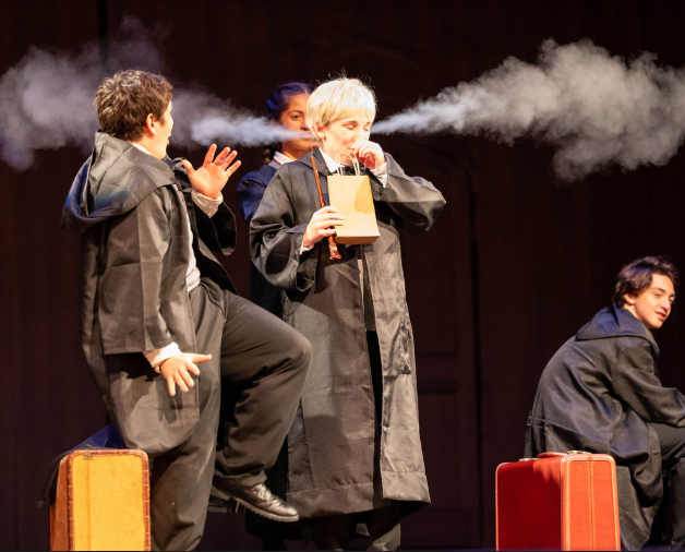 Harry Potter and the Cursed Child: High School Edition (2025)