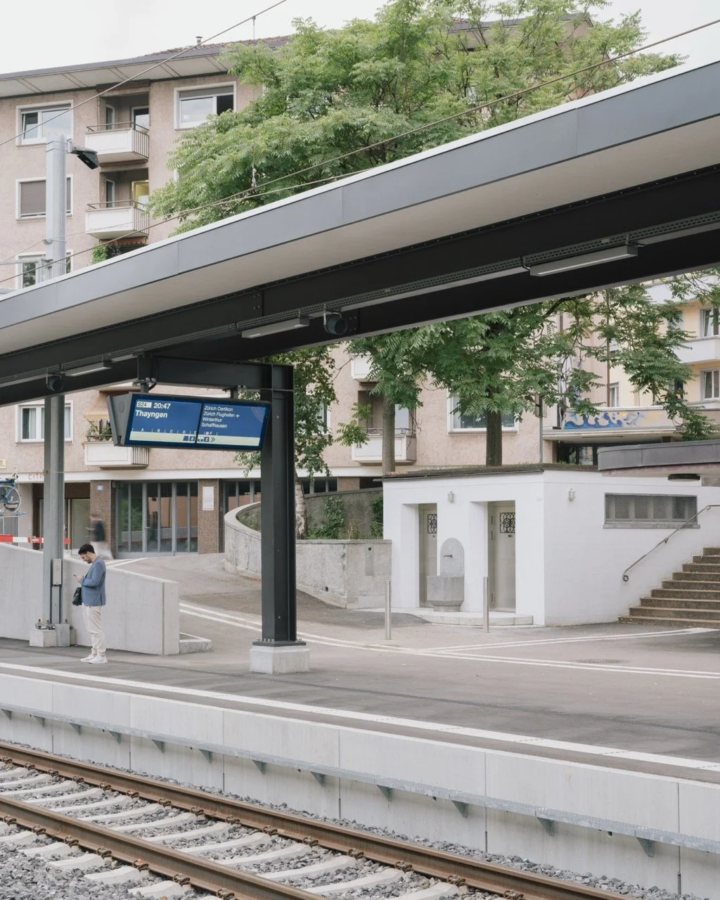 Groß (250806_Blomfelt_Züri_WC_Dammweg_09).jpeg