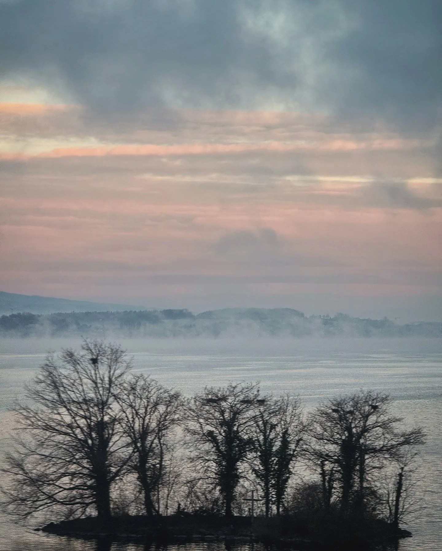 This morning was so beautiful it deserved a post of its own.

I was on the train, completely absorbed in my book &mdash; you know that feeling when you fall right into the page and the world around you disappears? That was me. Coffee in hand, slouchi