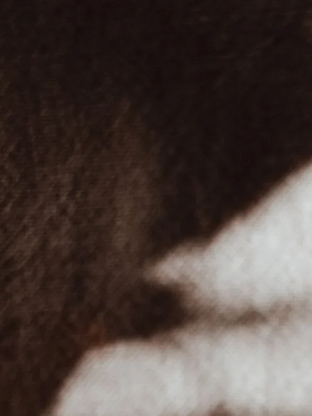 This is how a brand stores energy