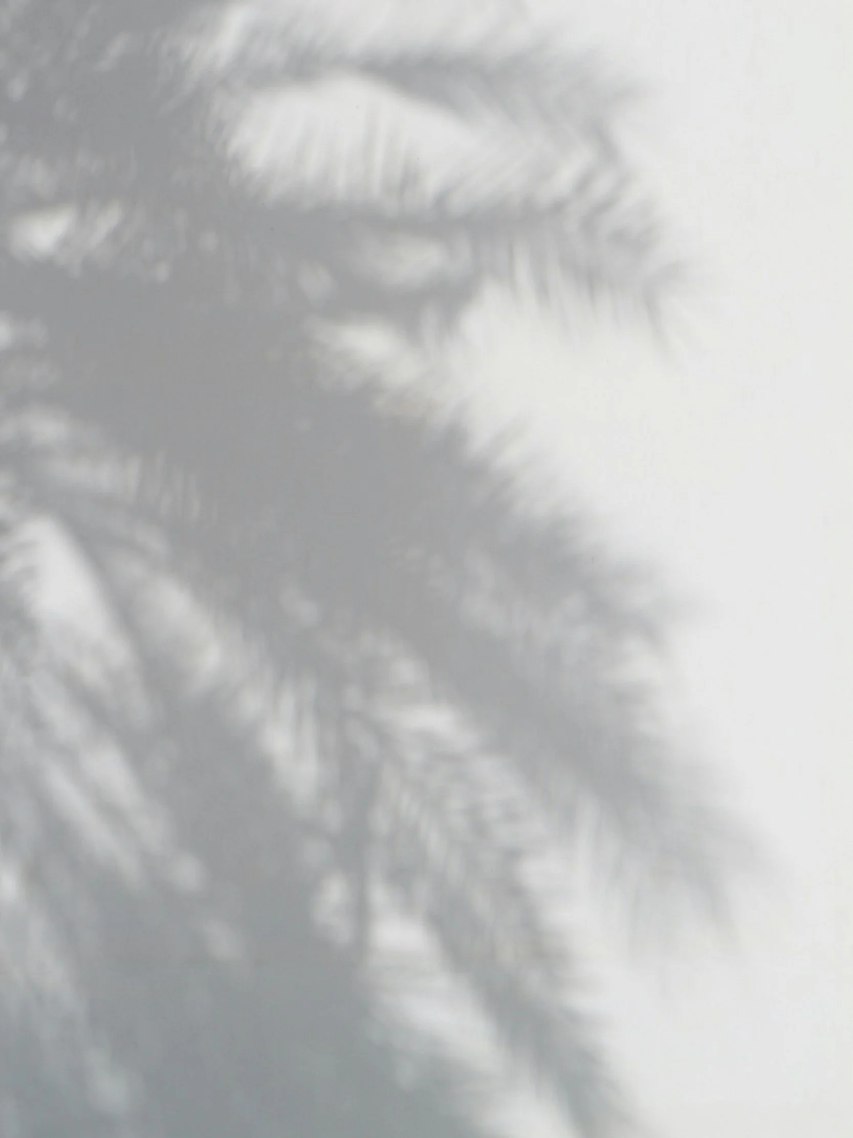 Channeling your Brand Element&nbsp;