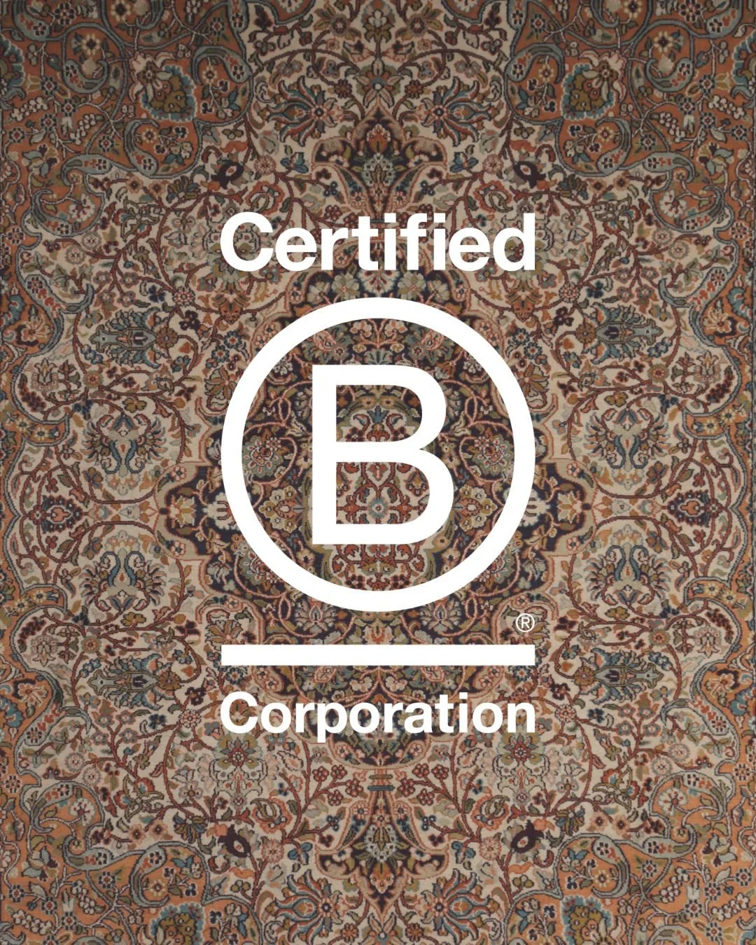 Is B Corp pointless?