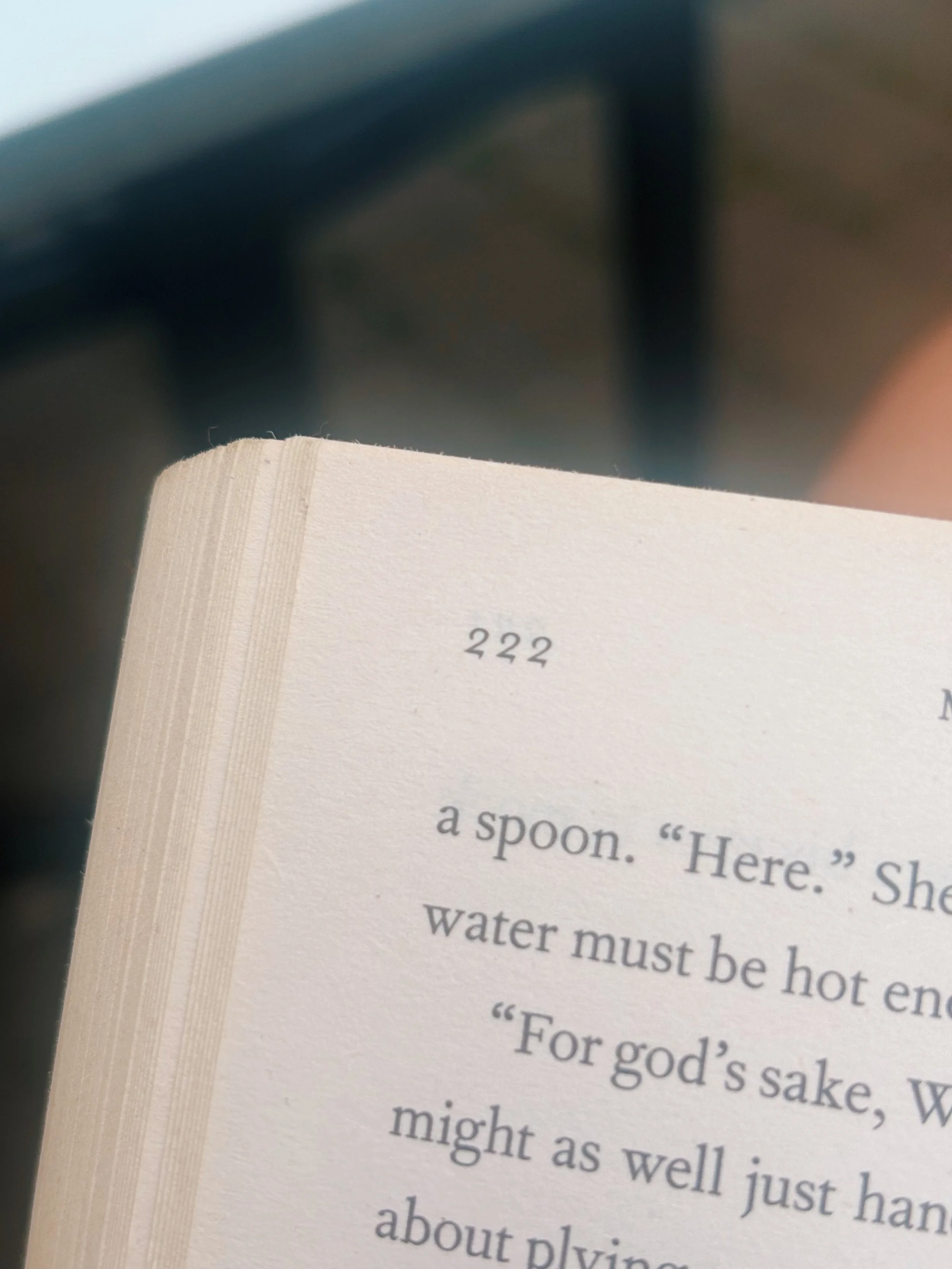Your Summer reading list has landed