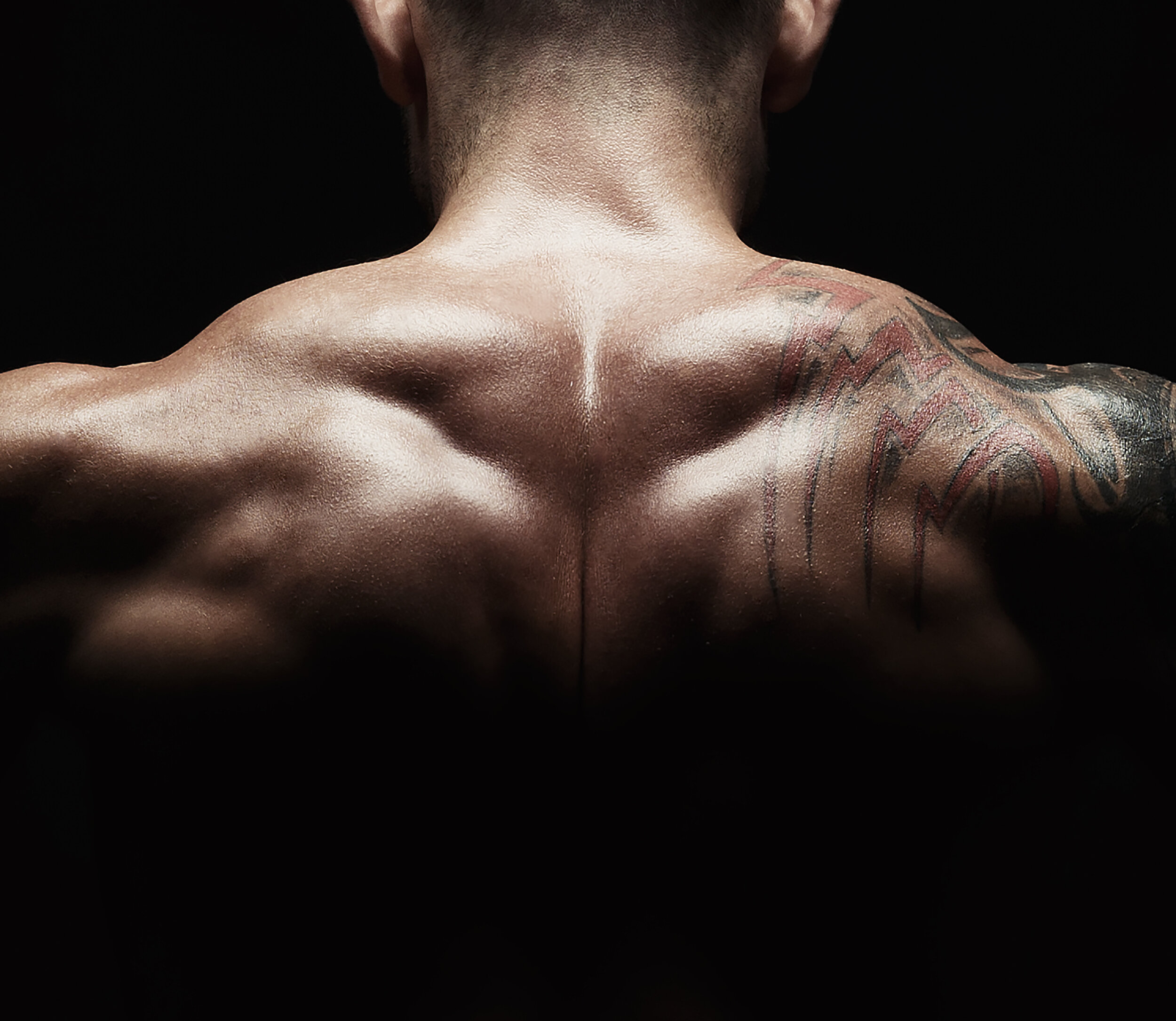 shirtless back.jpg