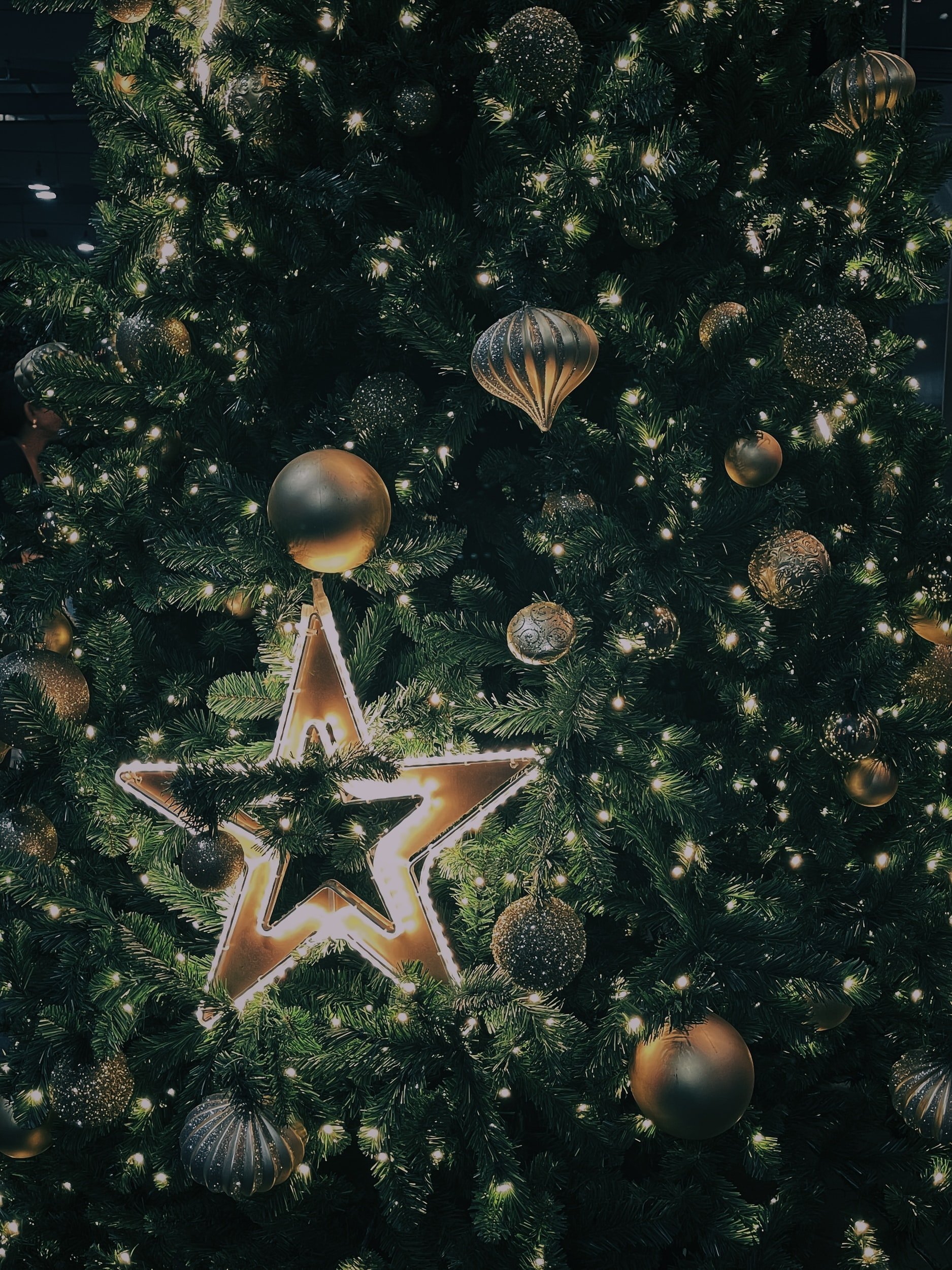 Merry Christmas!