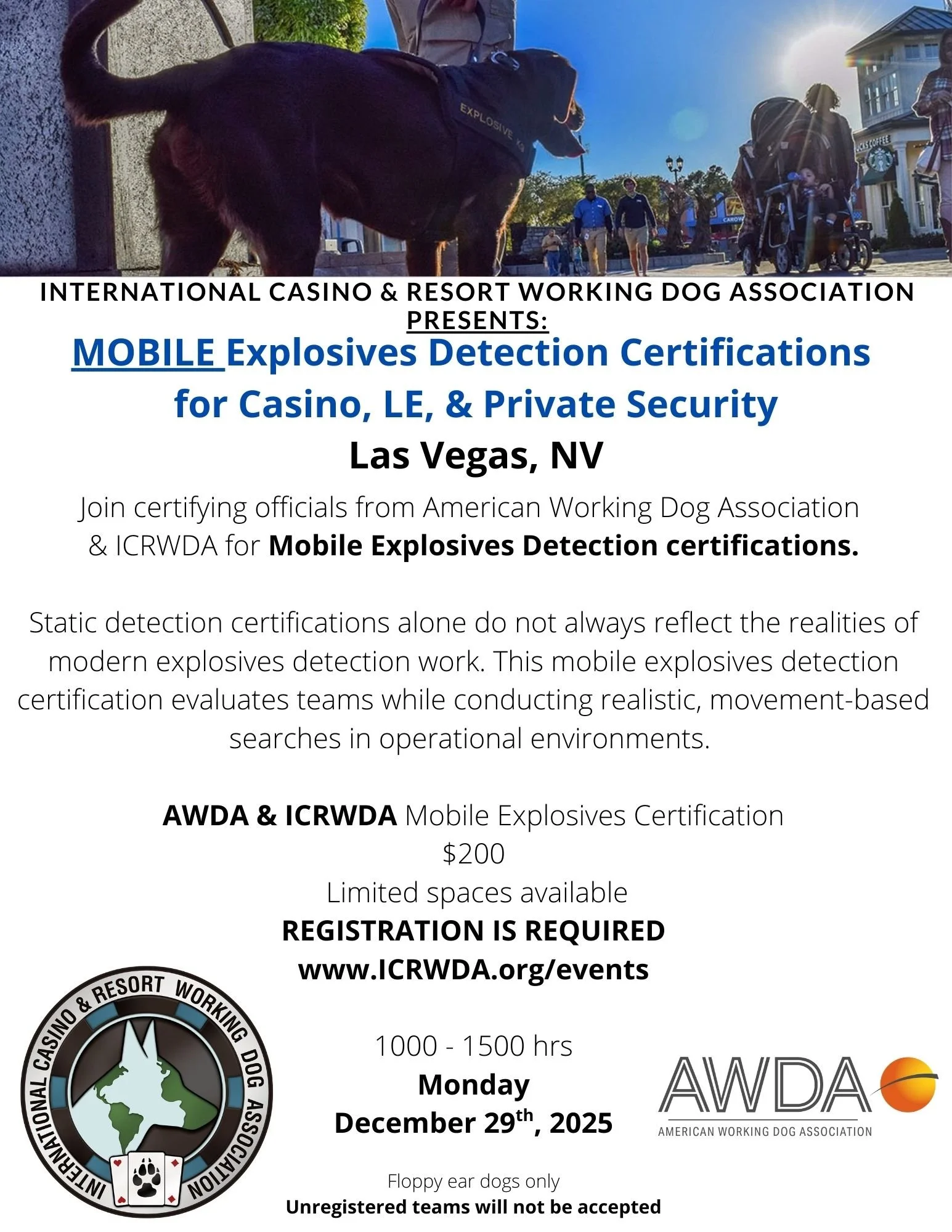 Mobile Explosives Detection K9 Certifications for LE, Casino, &amp; Private Security Teams