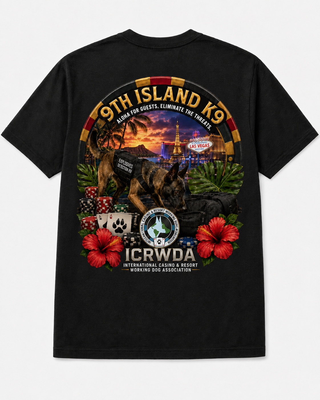 ICR 9th Island Back.png
