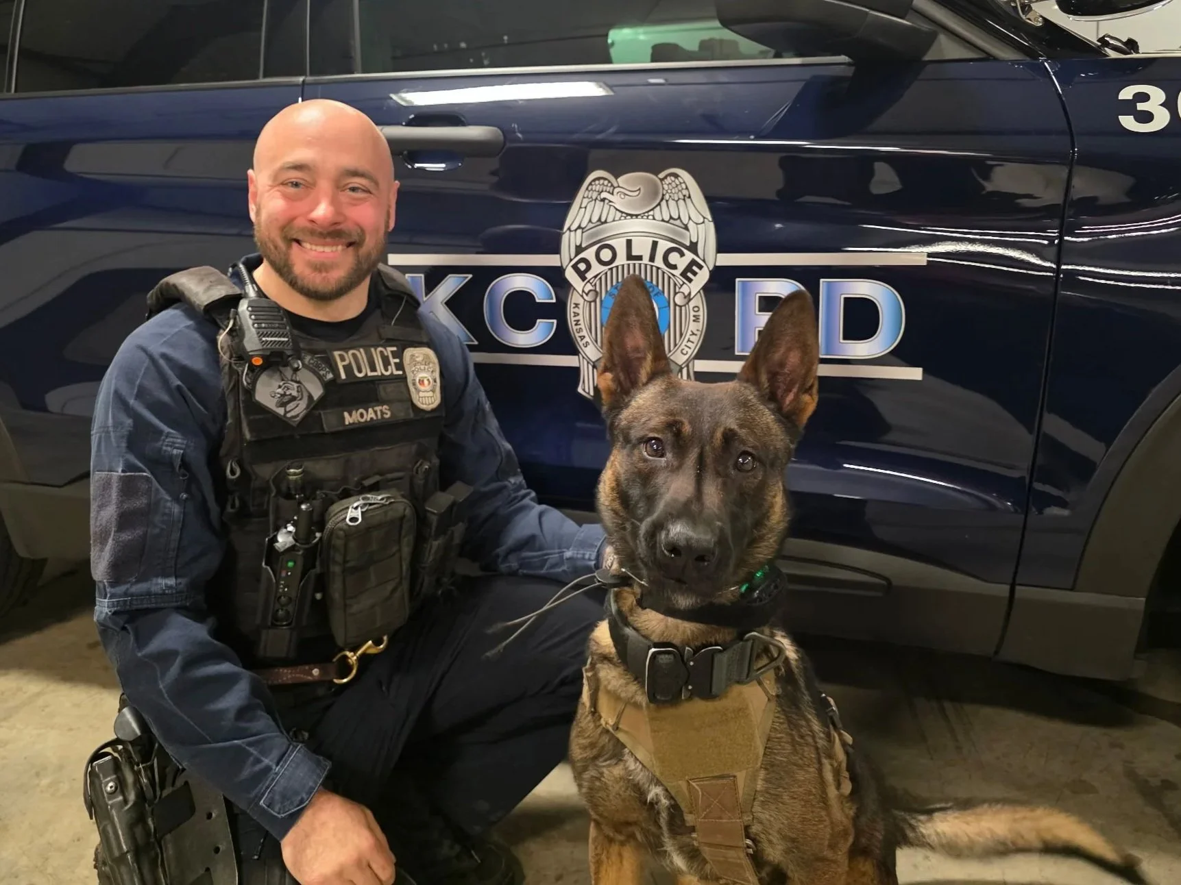 Las Vegas K9 Detection Services