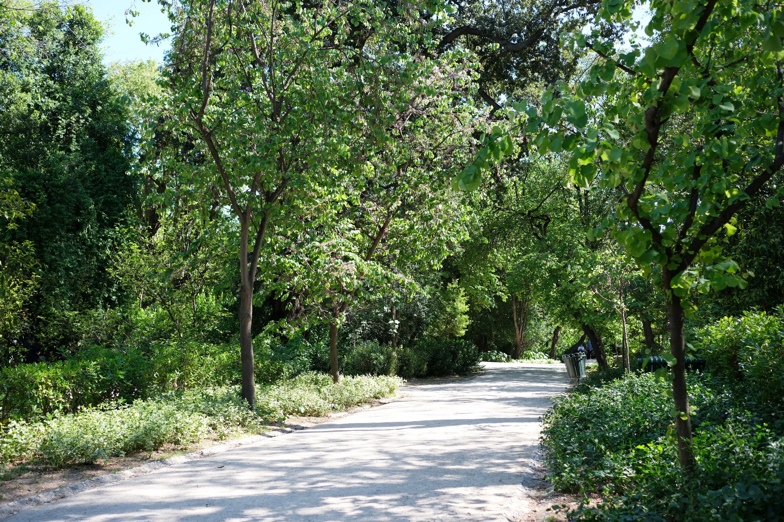 national park.jpg