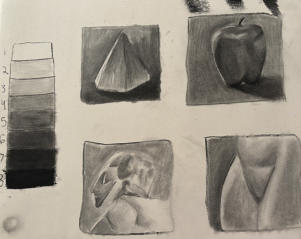 Drawing I: Charcoal Studies