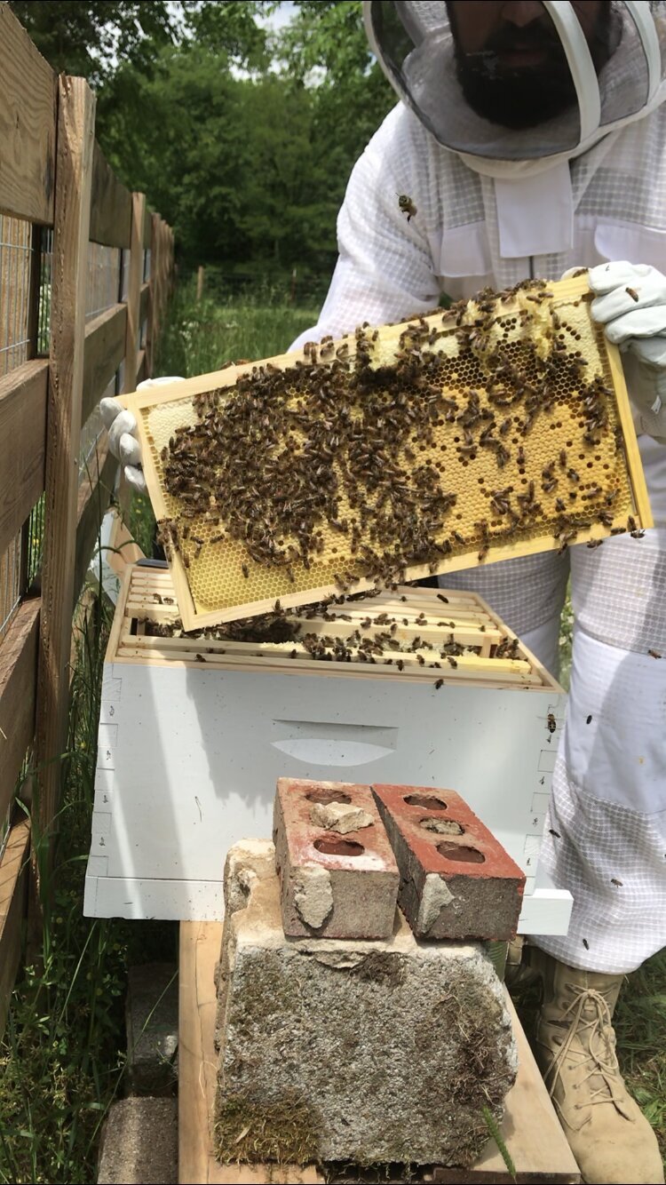 On the Farm — CannonGate Farms