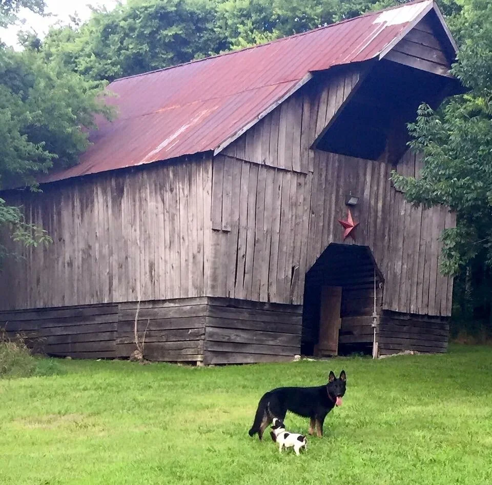 On the Farm — CannonGate Farms