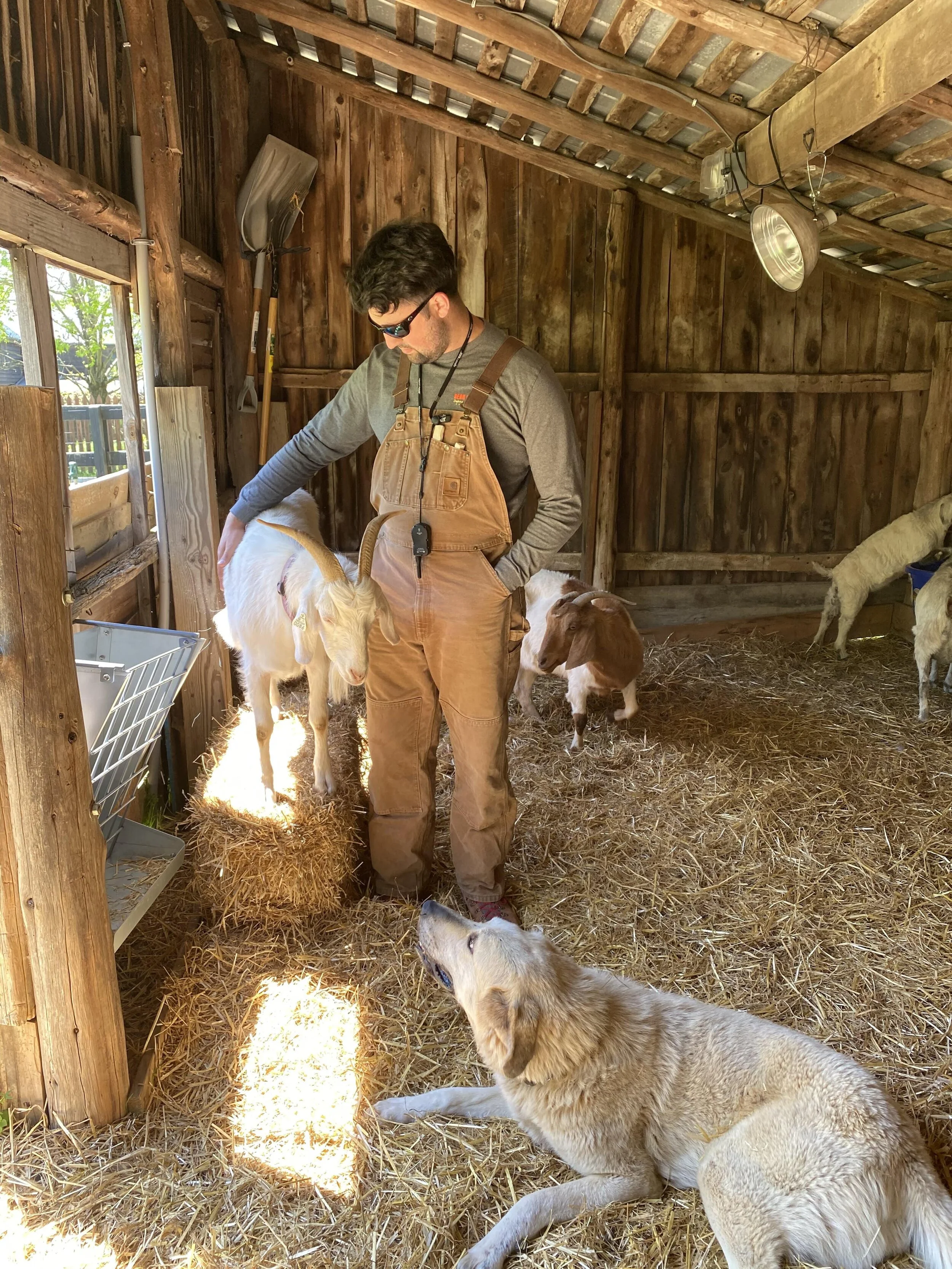 On the Farm — CannonGate Farms