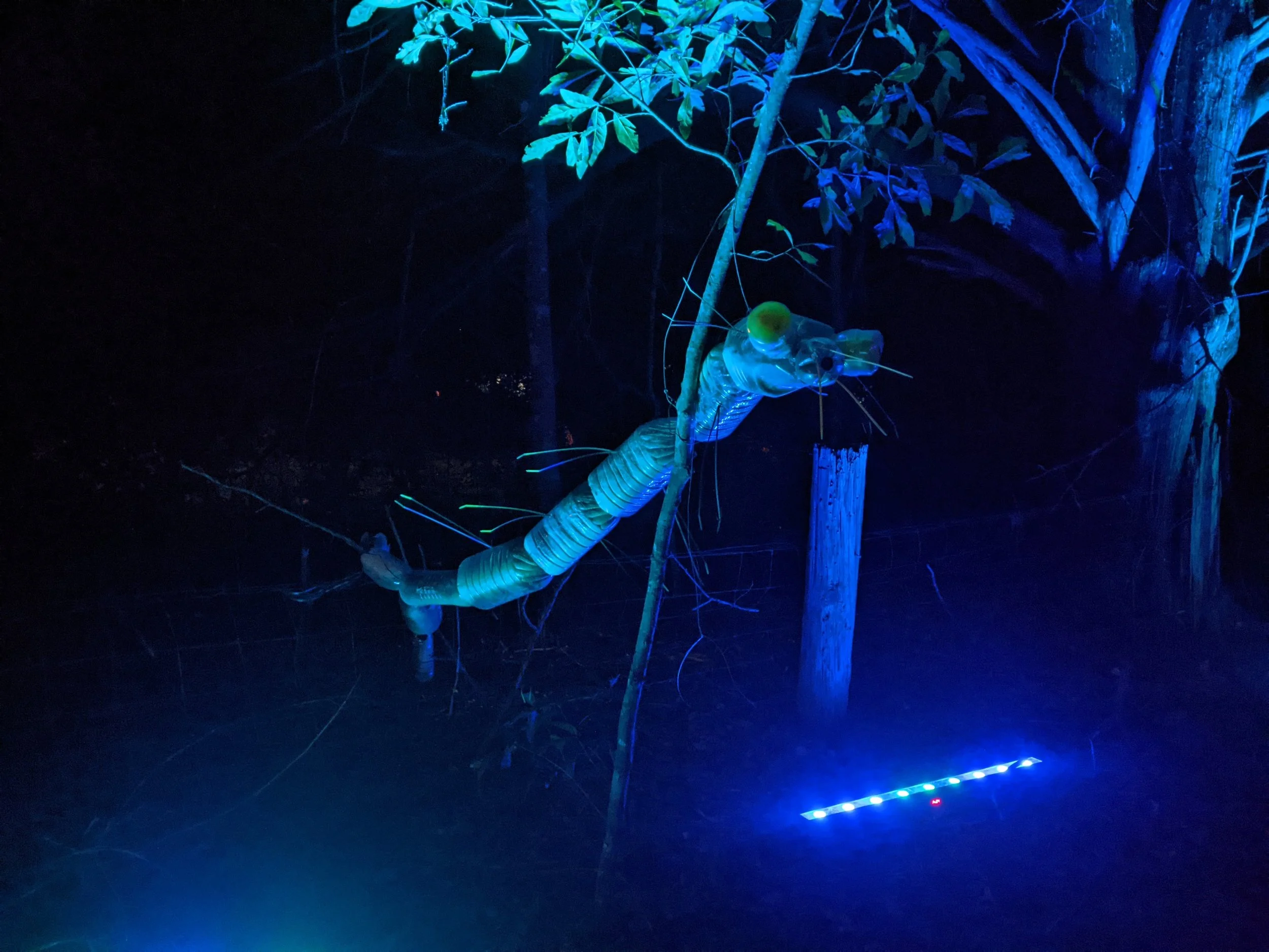 2024-10-26 20.59.27.jpg