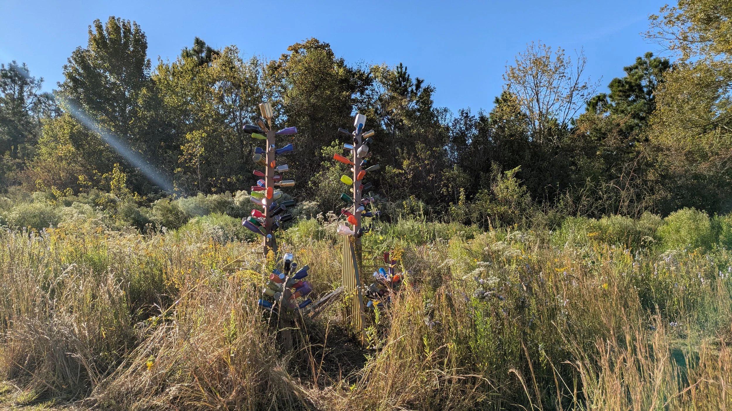 Bottle Tree