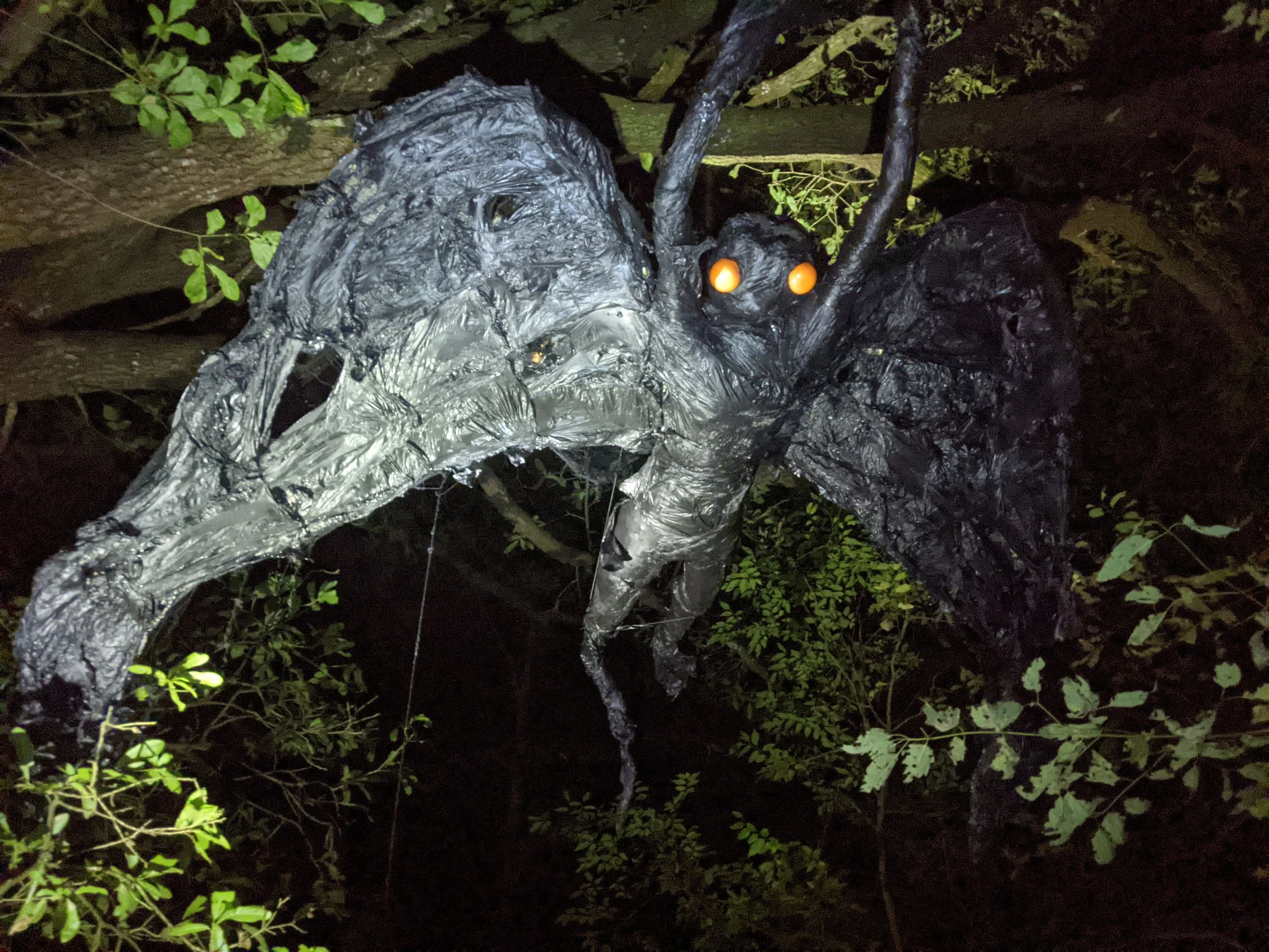 2024-10-26 22.06.21.jpg