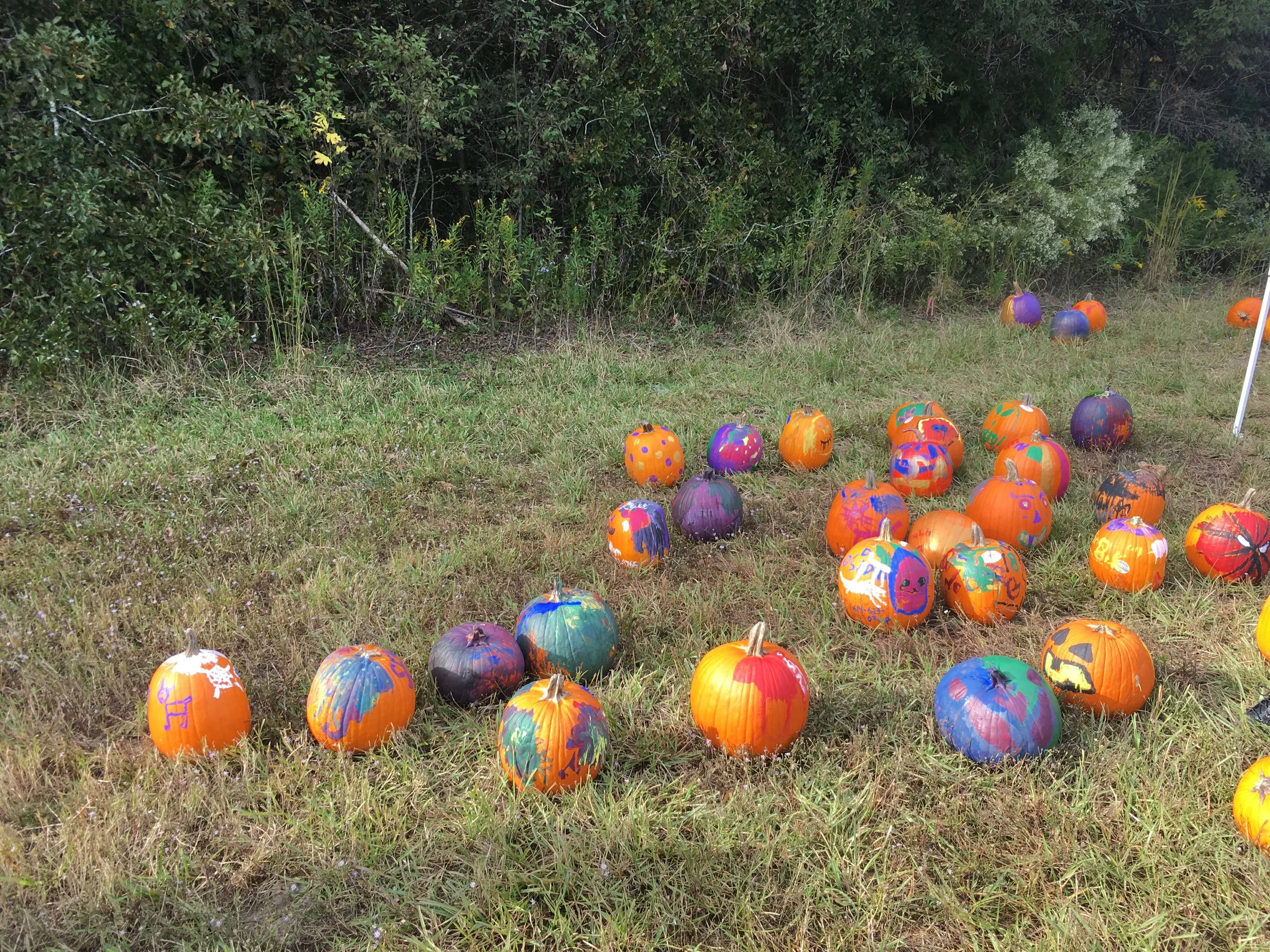 2019-11-02 15.55.44.jpg