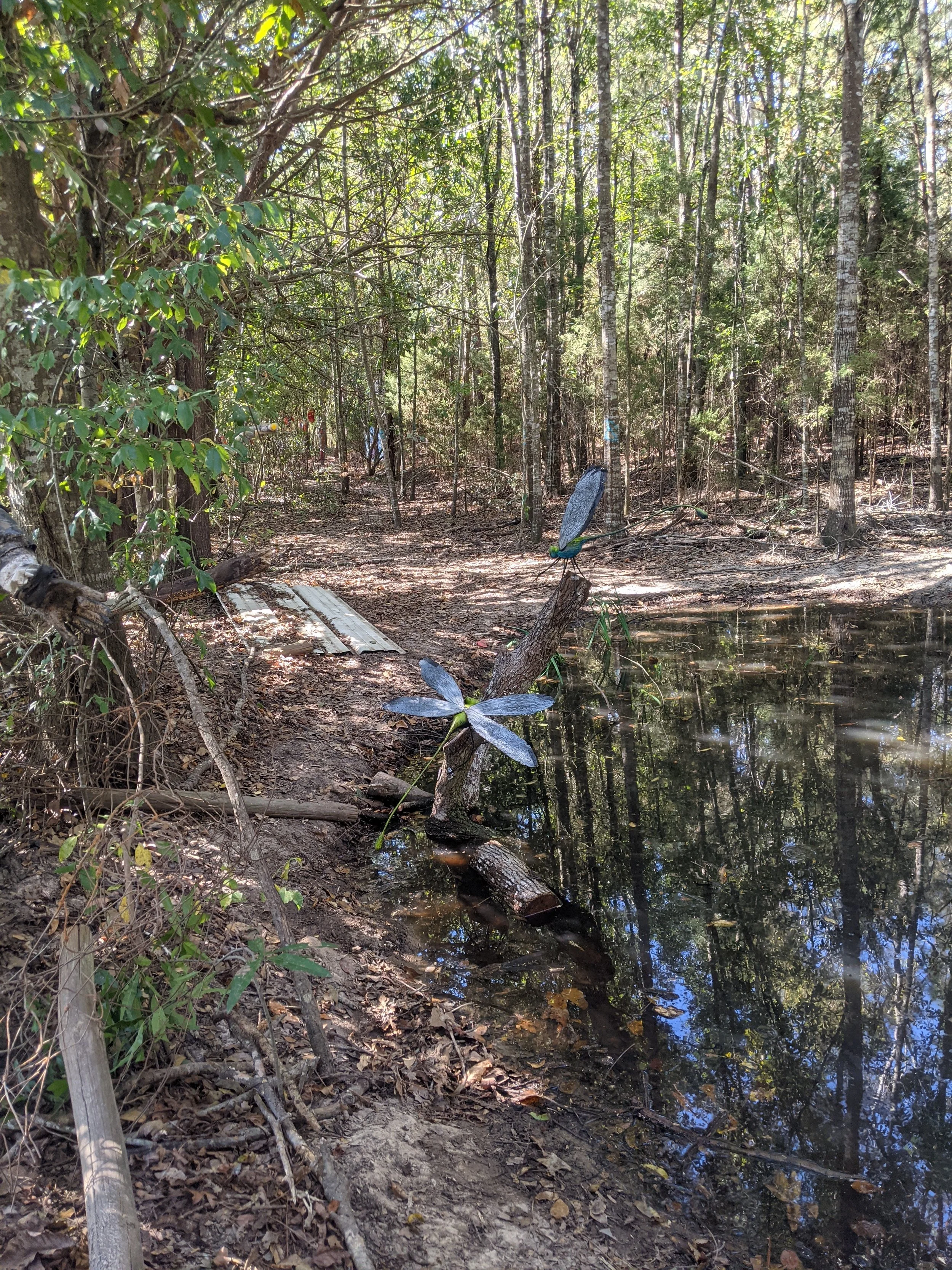 2024-10-26 12.01.10.jpg