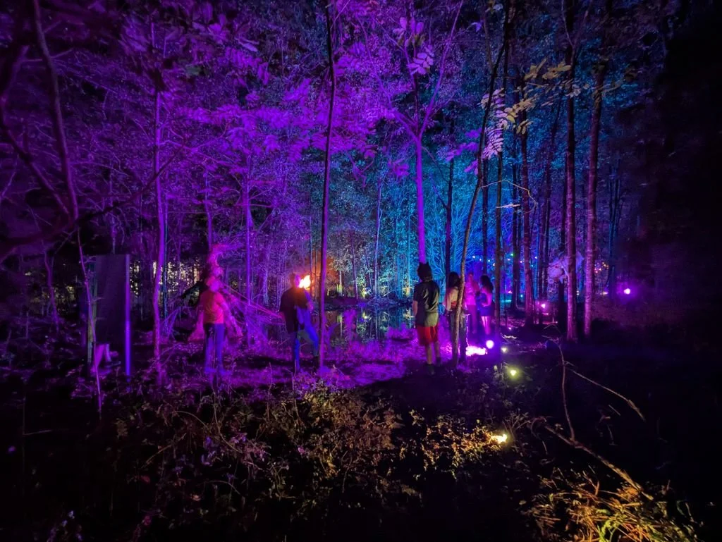 forest walk.jpeg