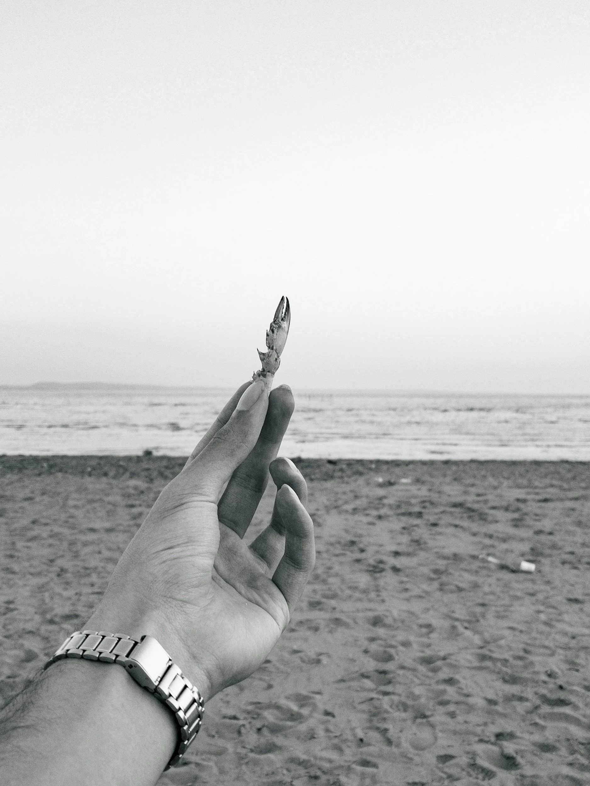 Learning to Let Go: How Somatic Work Helped Me Soften My Need for Control