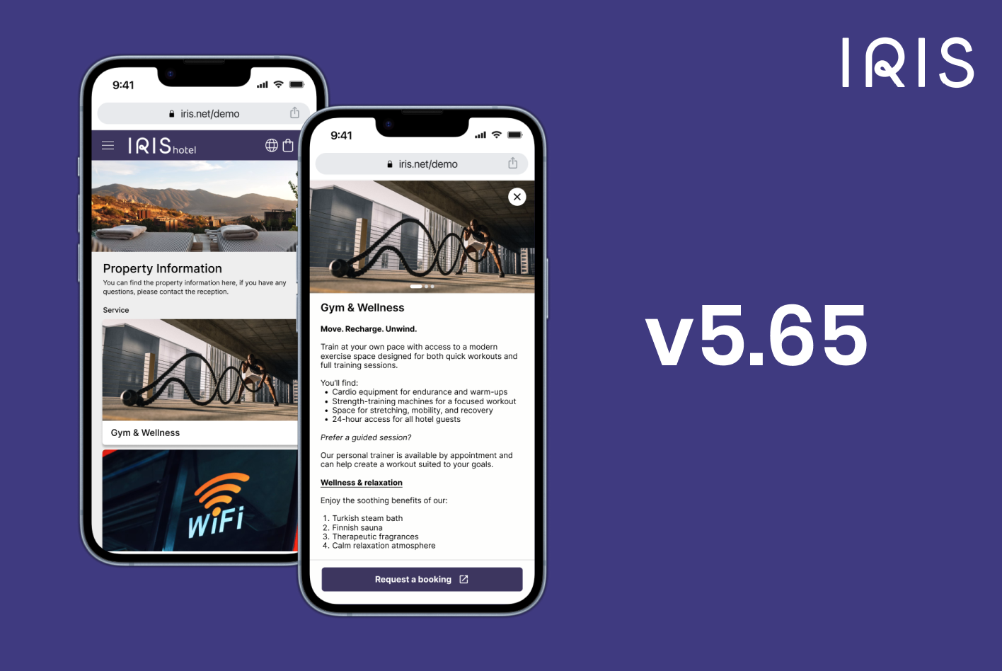v5.65 - New Item Modal formatting 