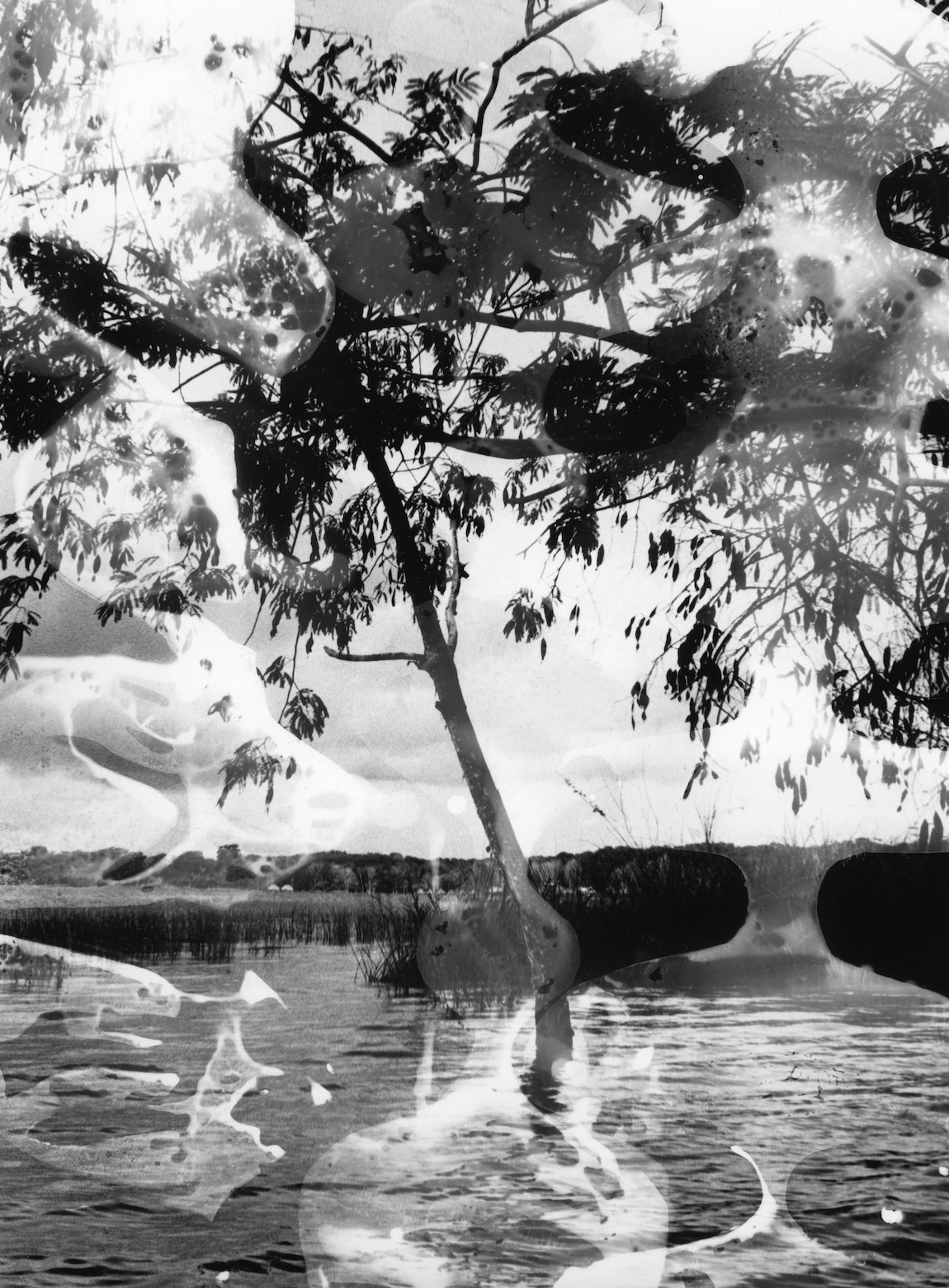 Screen Shot 2026-01-26 at 5.24.04 PM.png