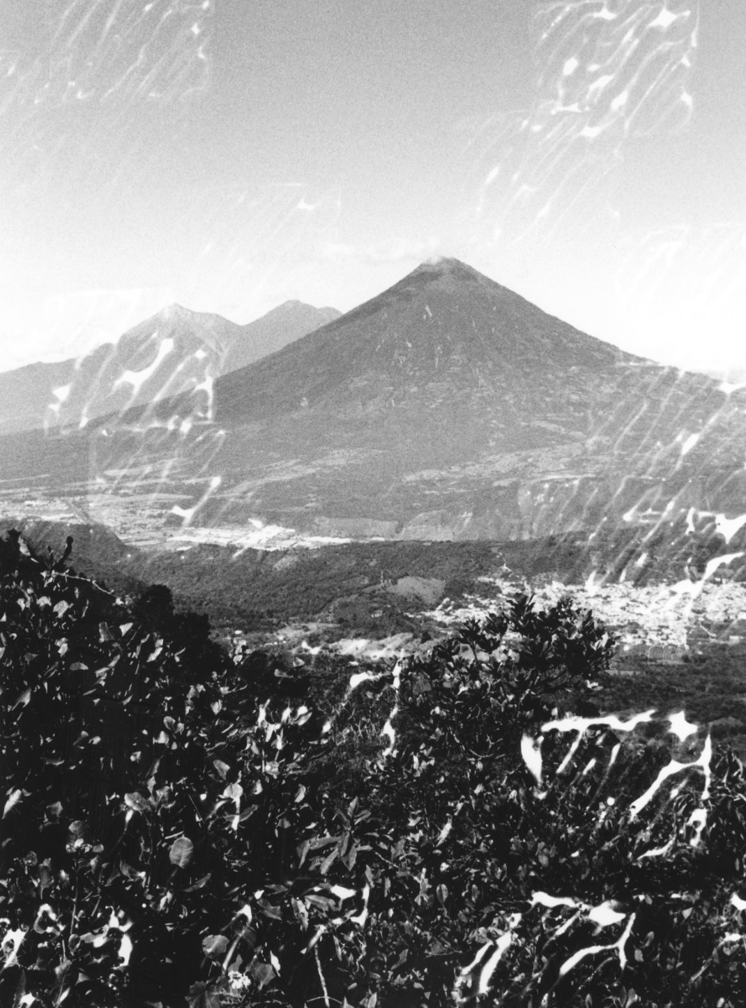 Screen Shot 2026-01-19 at 6.05.14 PM.png