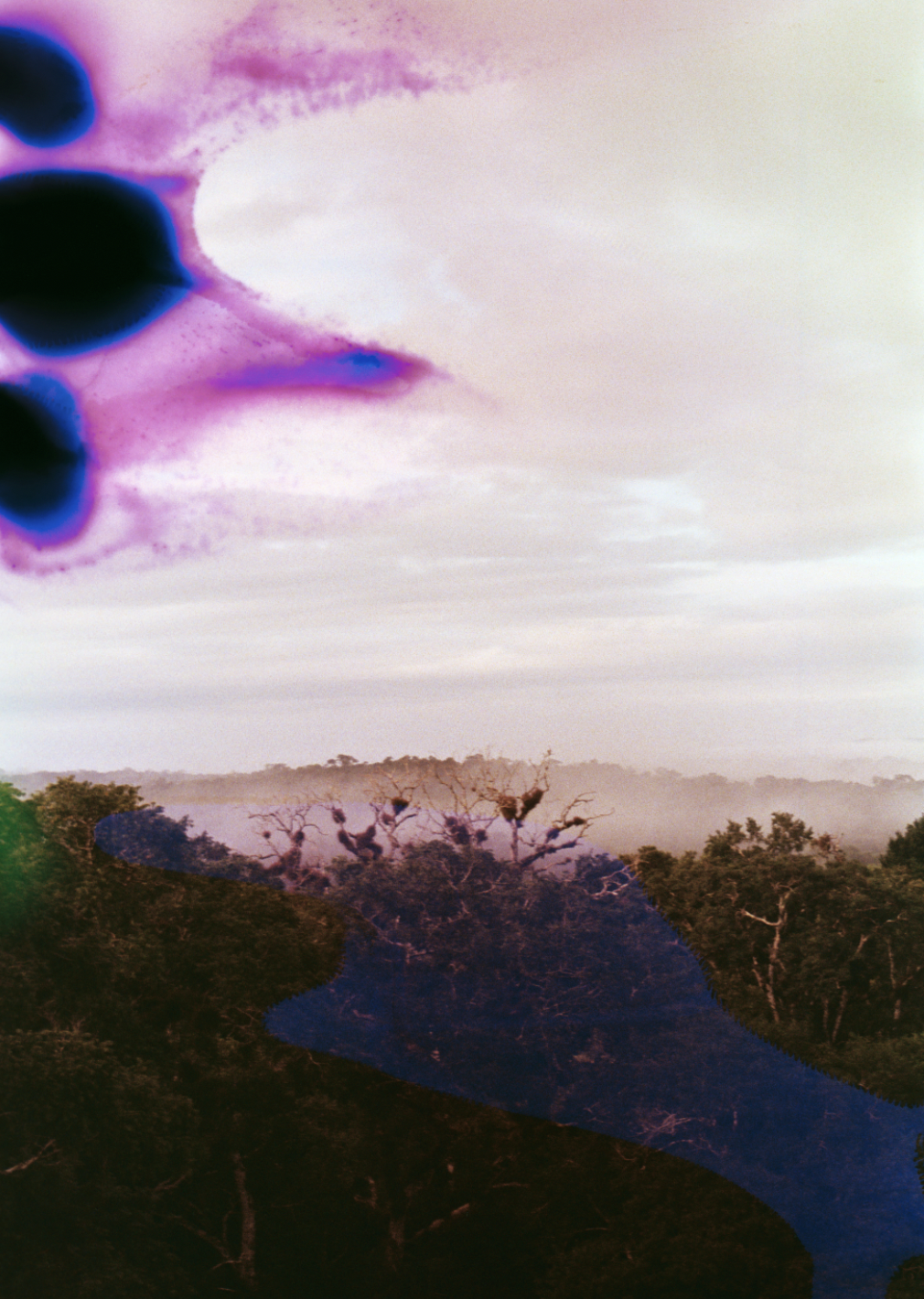 Abstract landscape with trees and hills, distorted by a colorful, surreal overlay of purple and black spots in the sky.