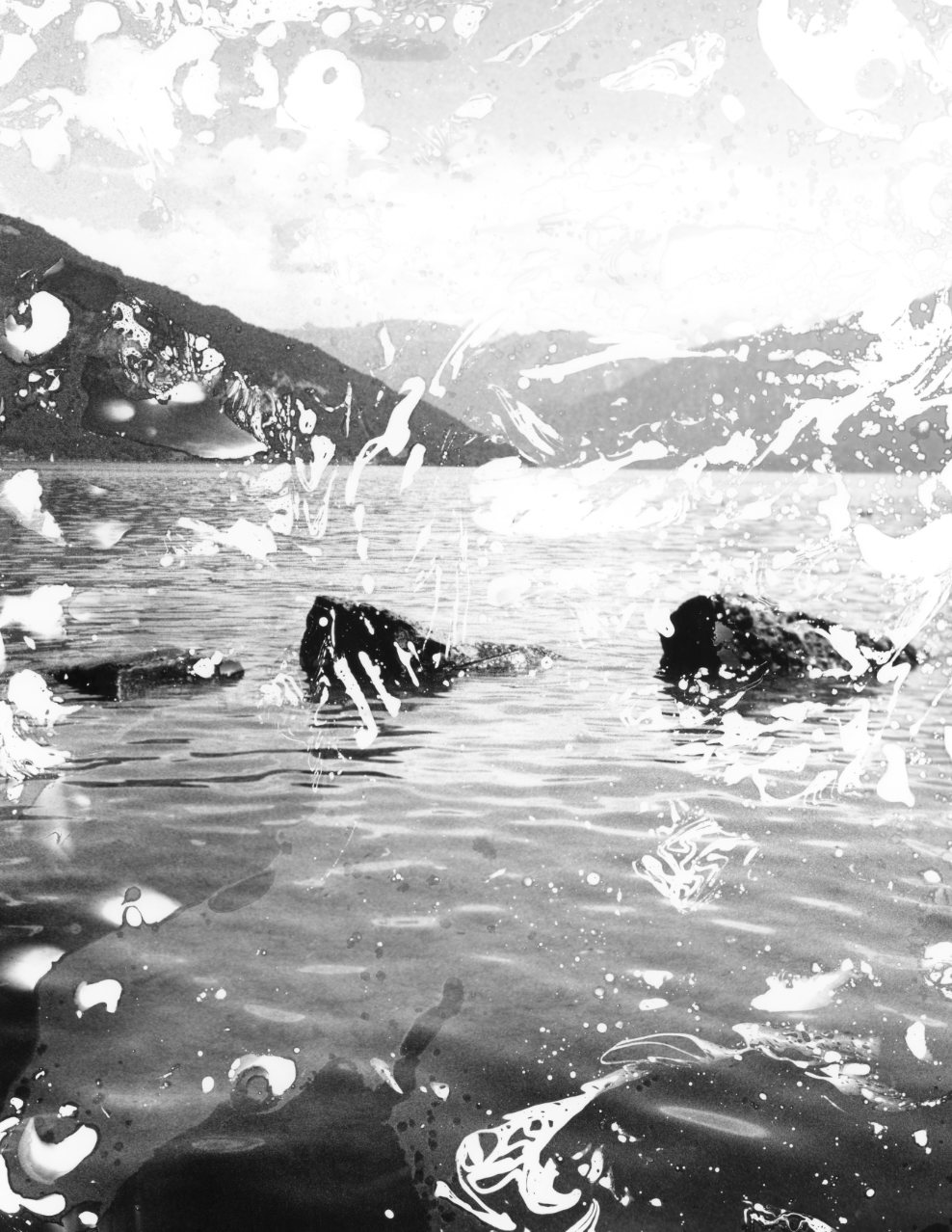 Screen Shot 2025-12-21 at 7.37.50 PM.png