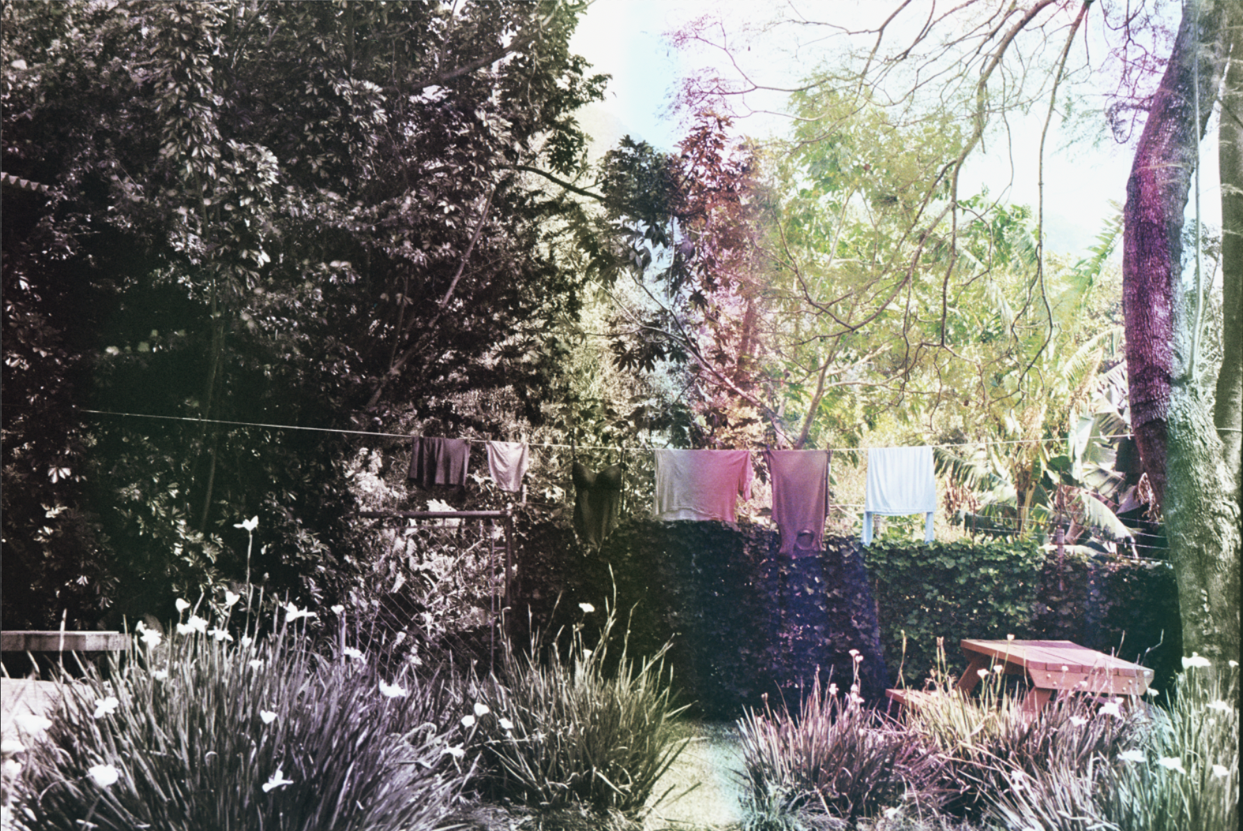 A backyard garden with clothes hanging on a clothesline, surrounded by greenery and trees, with a wooden picnic table on the grass.