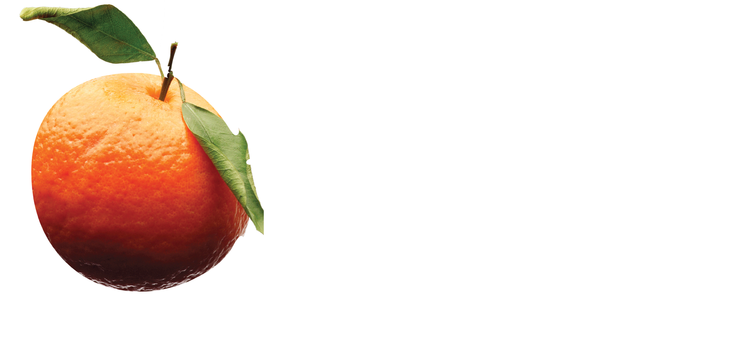 Citrus Health Network