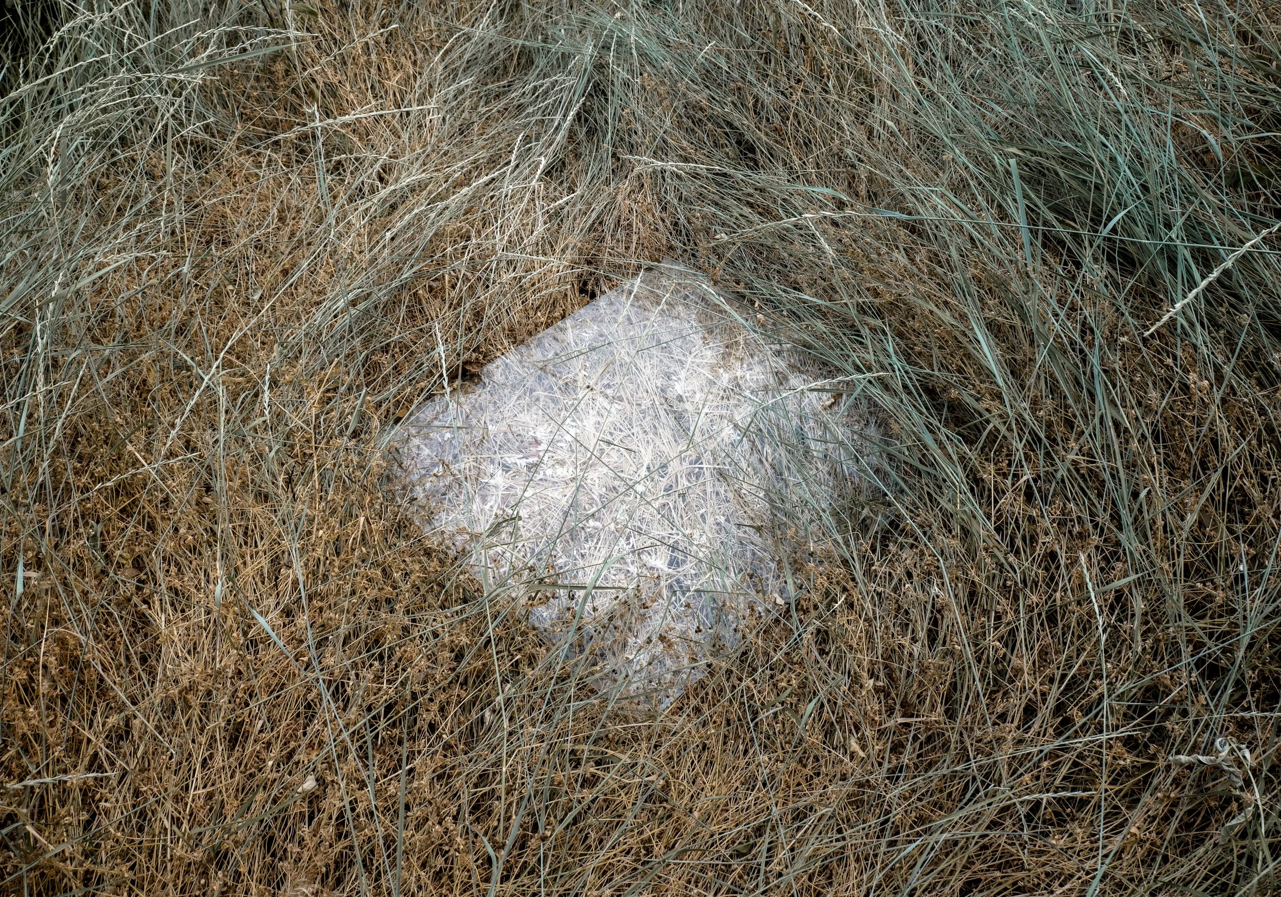 placesofmutualoblivion-13.jpg