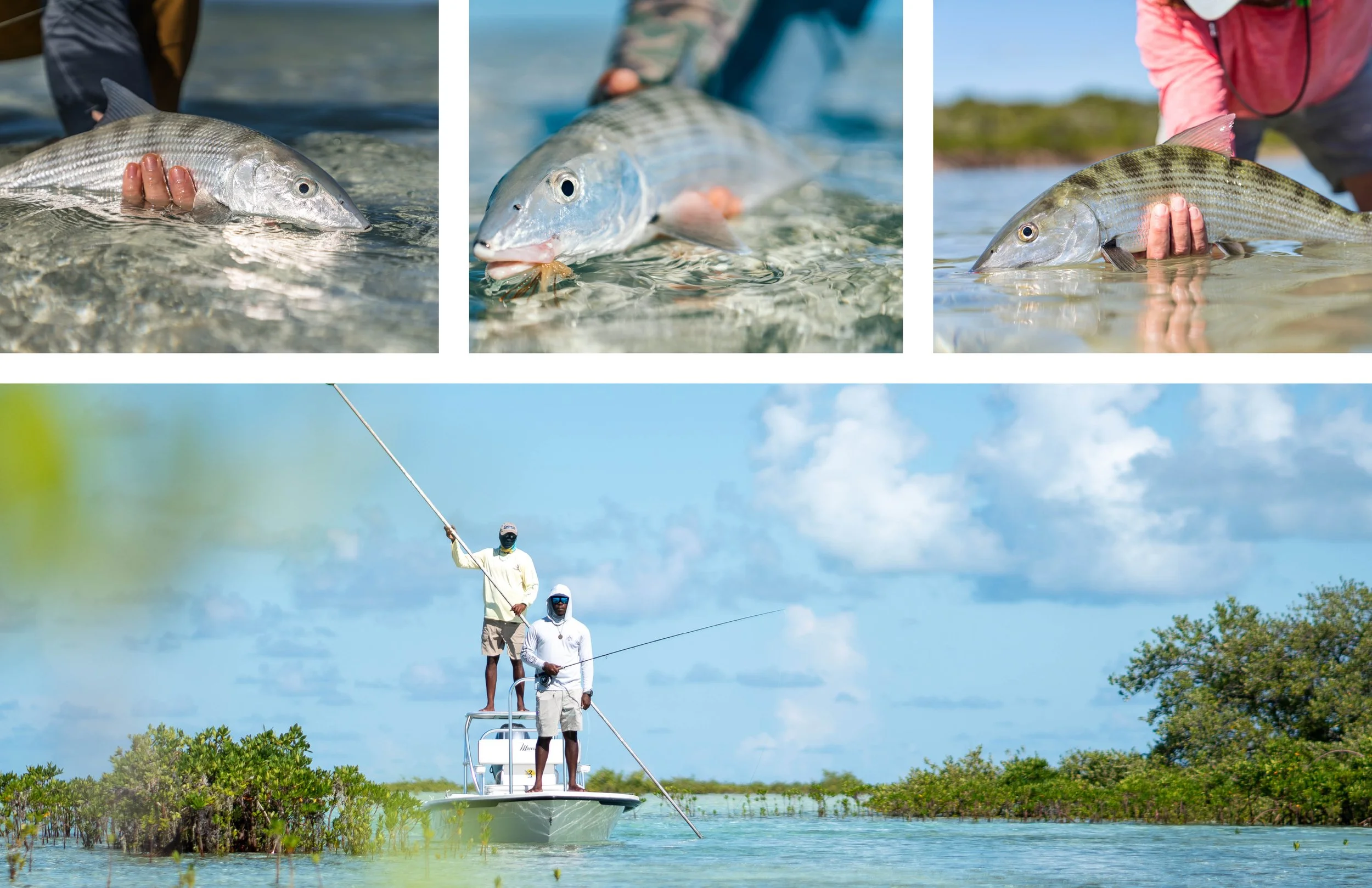  Bonefish—the ghost of the flats—never cease to amaze with their unique beauty. The chance to hold and release one is why we fish so hard. 