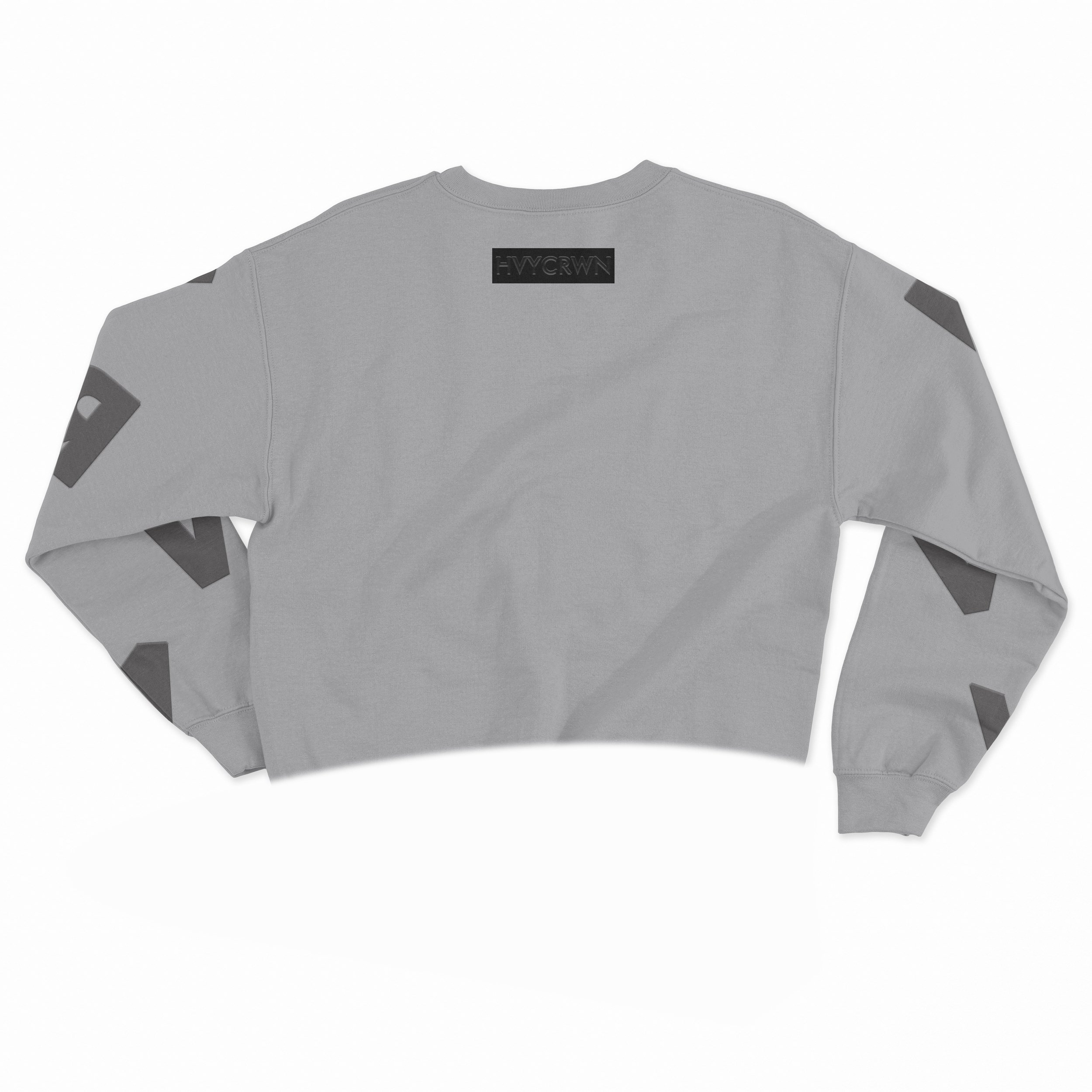 HVYCRWN_Wild_Fable_Gray_Crew_Neck_Sweatshirt_Back.jpg