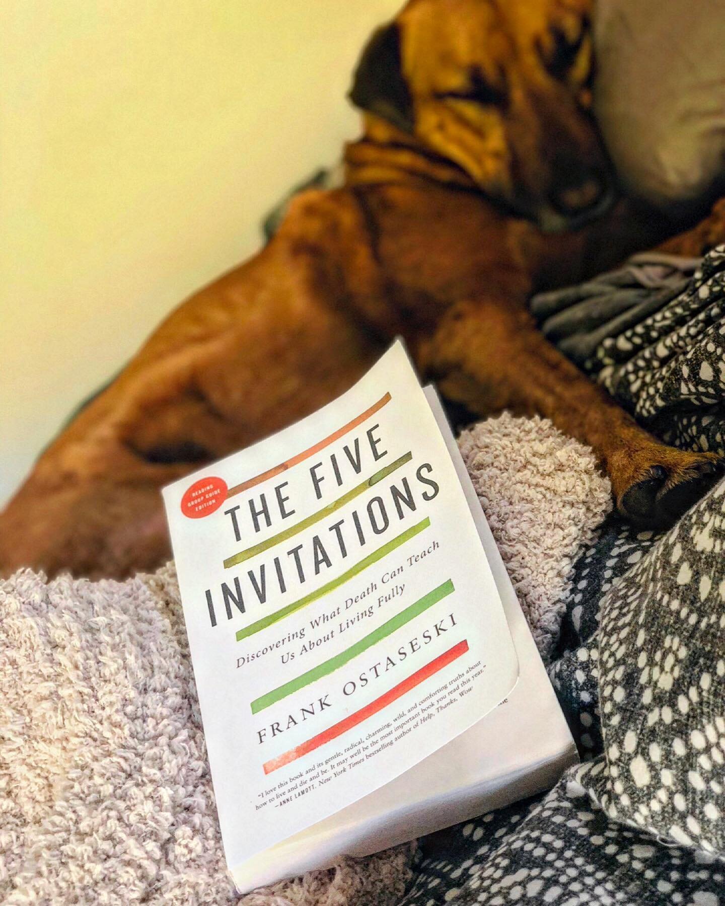 This is exactly what I needed 😌

#normalizedeath #deathanddying #deathdoula #deathmidwife #deathcompanion #deathguide #deathguidance #normalizedeathfears #deathfears #deathanxiety #livingfully #deathwork #deathworker #thefiveinvitations #frankostase