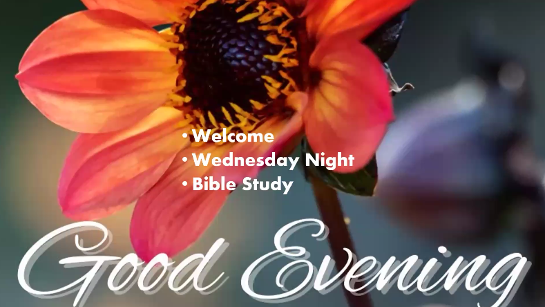 Wednesday | January 7, 2026