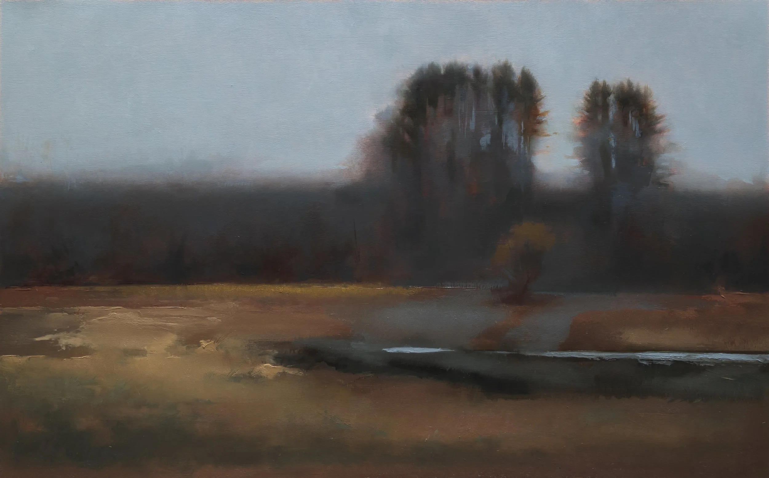 Wetlands, oil on cradled wooden panel, 20"x32", 2026.