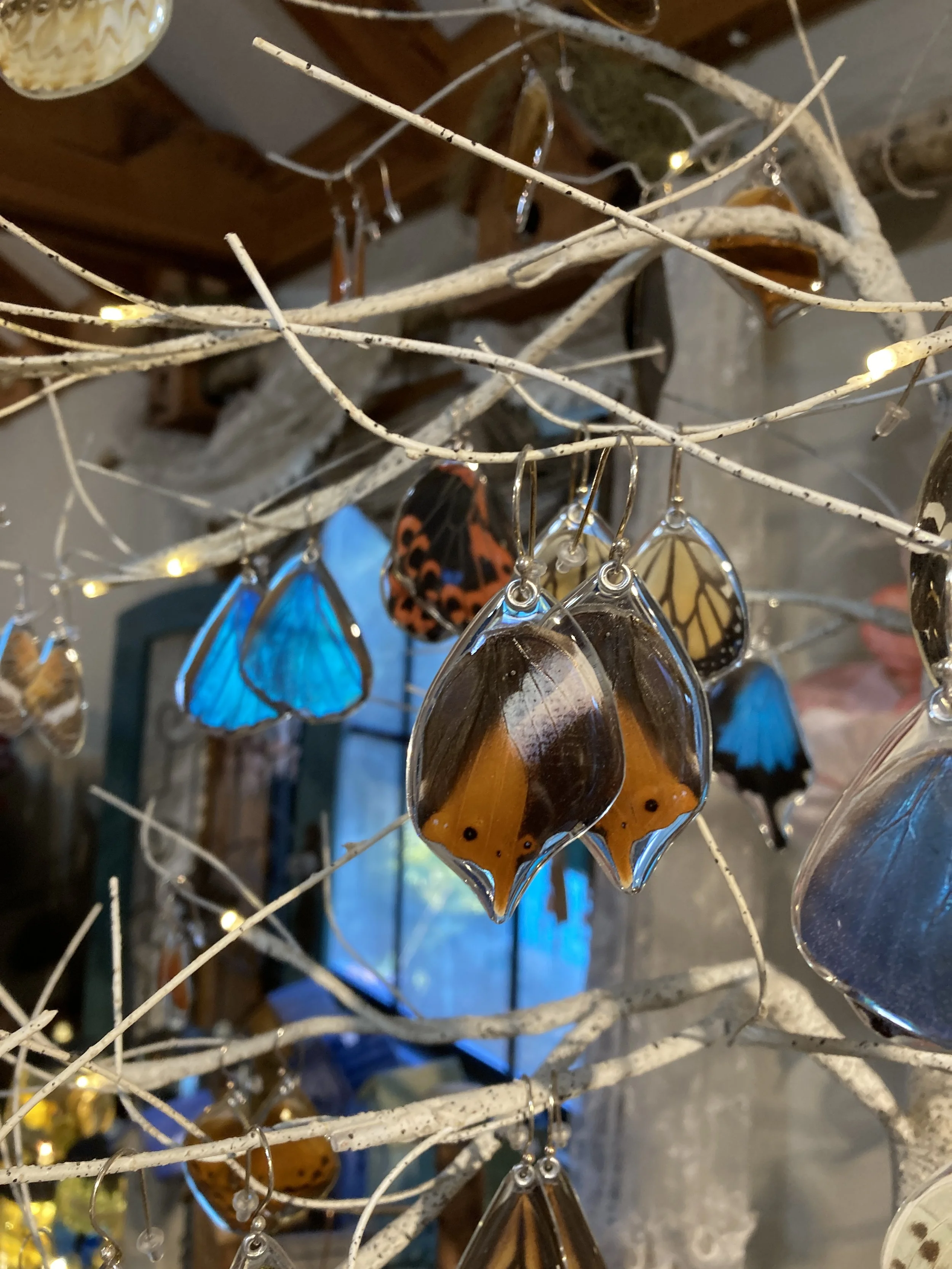 PETAL CONNECTION:  Unique display features a natural branch.