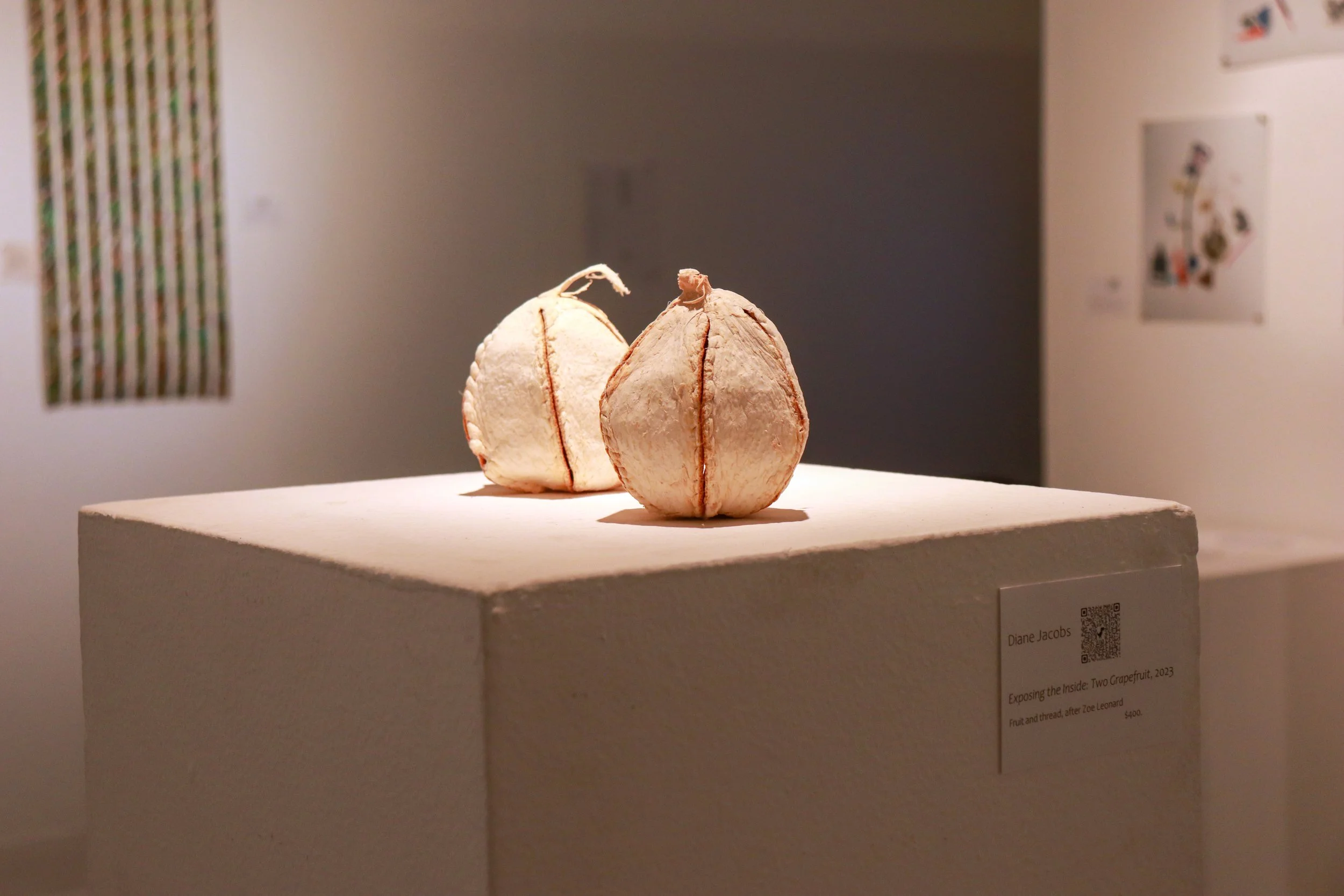 Alert &amp; Attuned: Attending To Our Climate Emergency | Gretchen Schuette Art Gallery