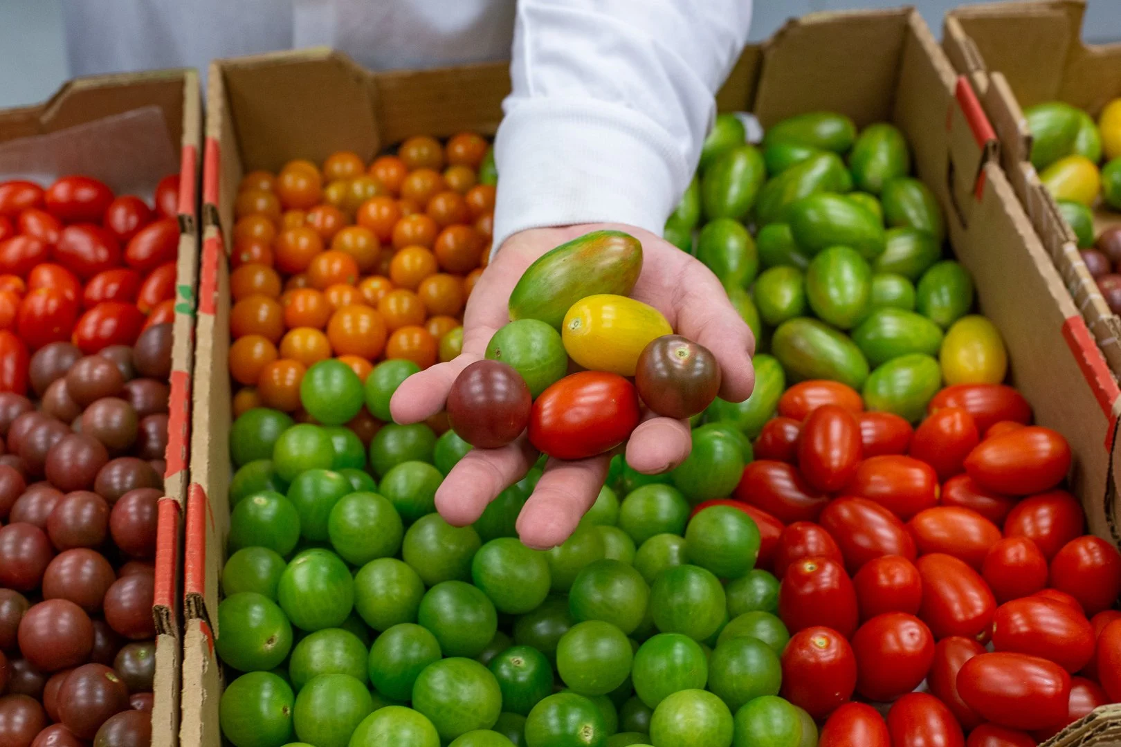 Kitchen and Delivery -0529.jpg